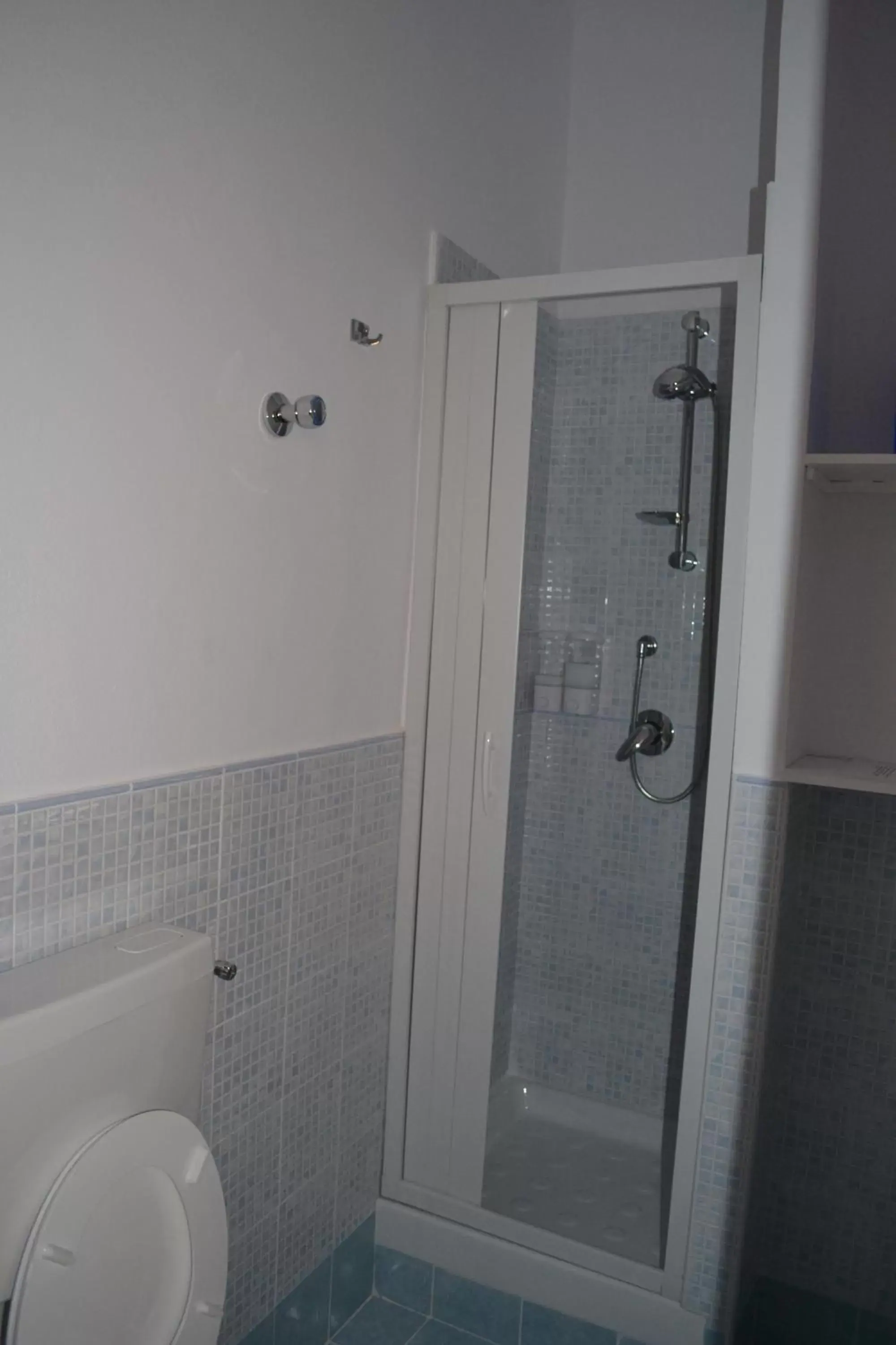 Shower, Bathroom in Monteoliveto Bed & Breakfast