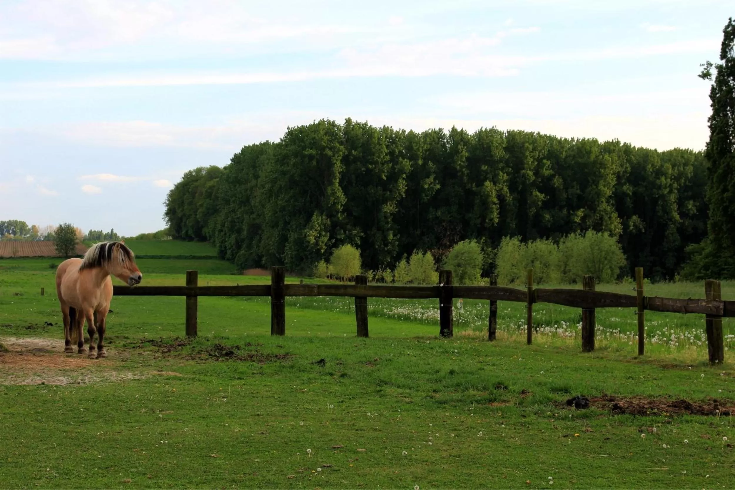 Area and facilities in B&B Laurus