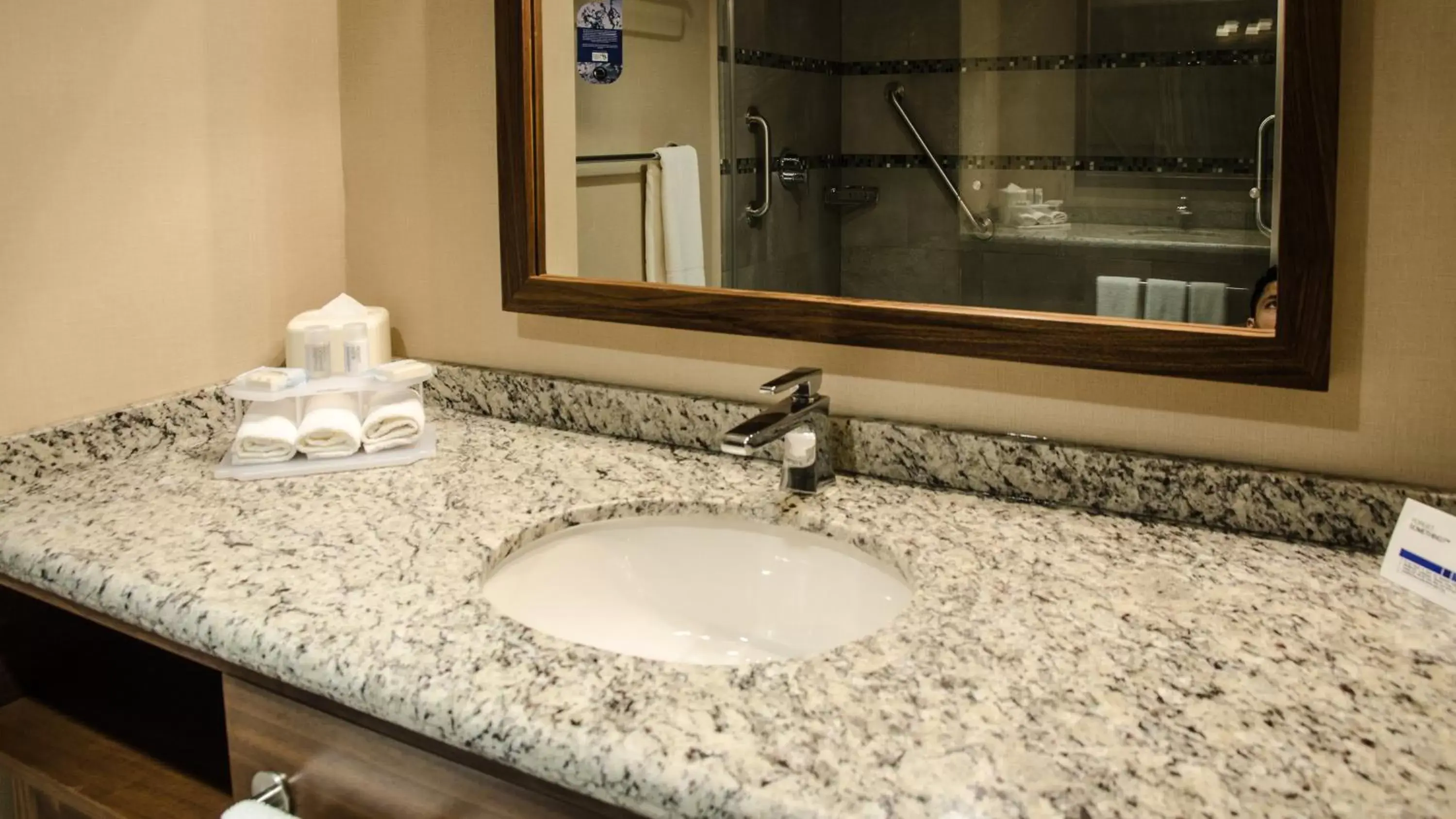 Bathroom in Holiday Inn Express and Suites Celaya, an IHG Hotel