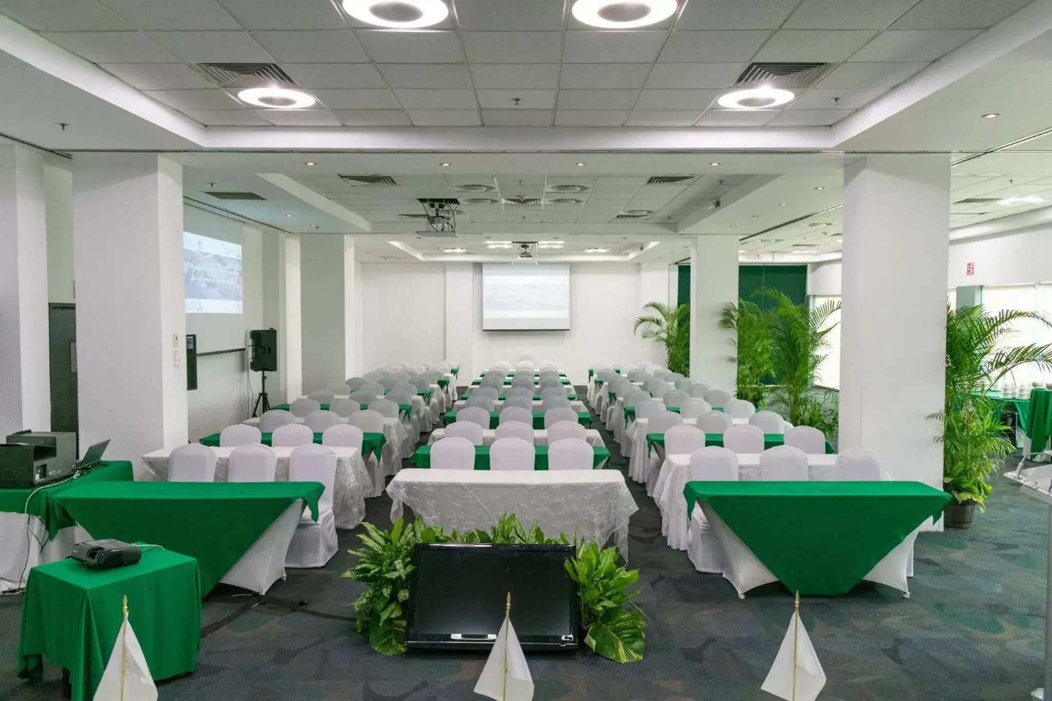 Meeting/conference room in Holiday Inn Campeche, an IHG Hotel