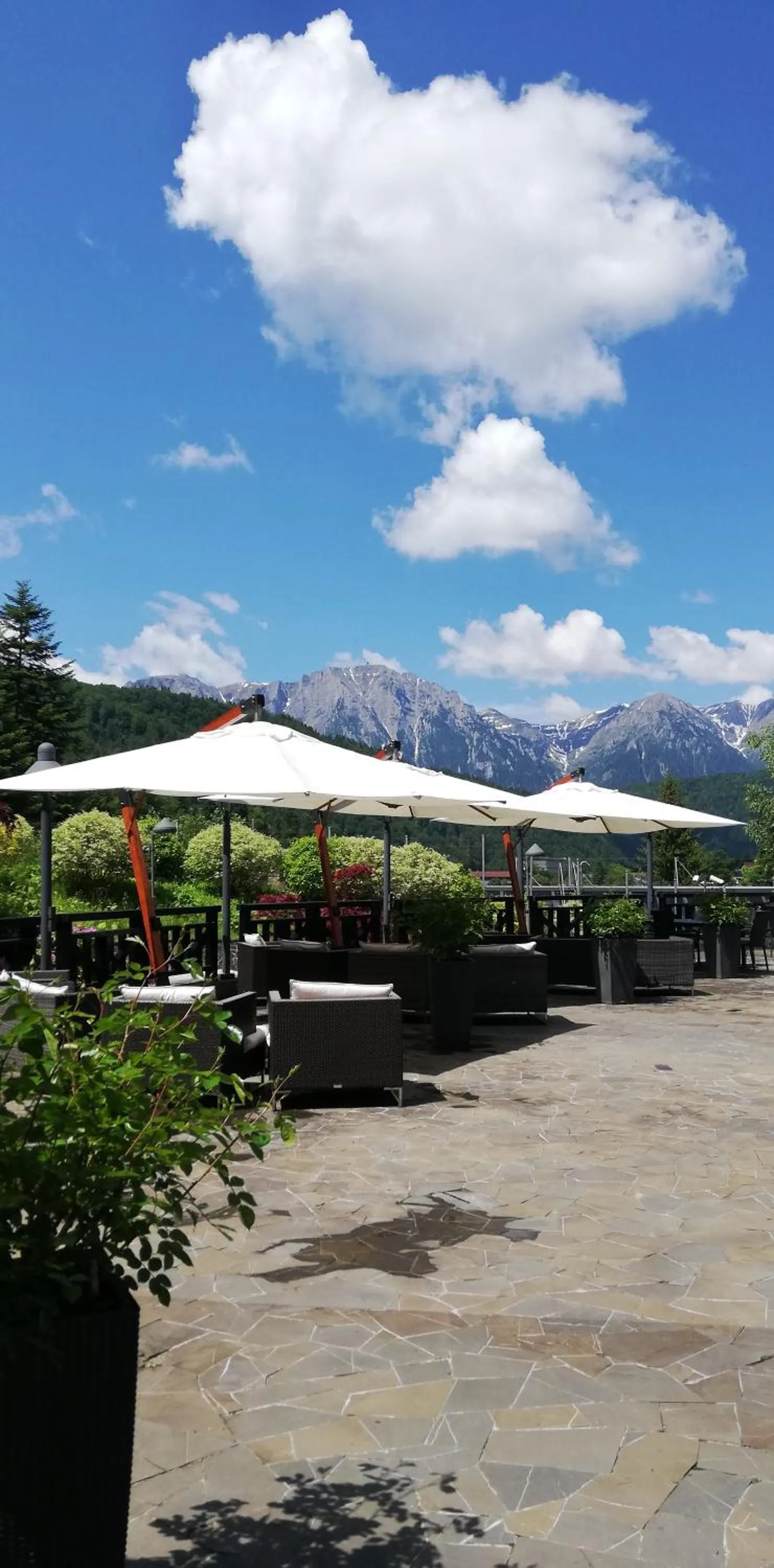 Restaurant/places to eat in Lux Garden Hotel