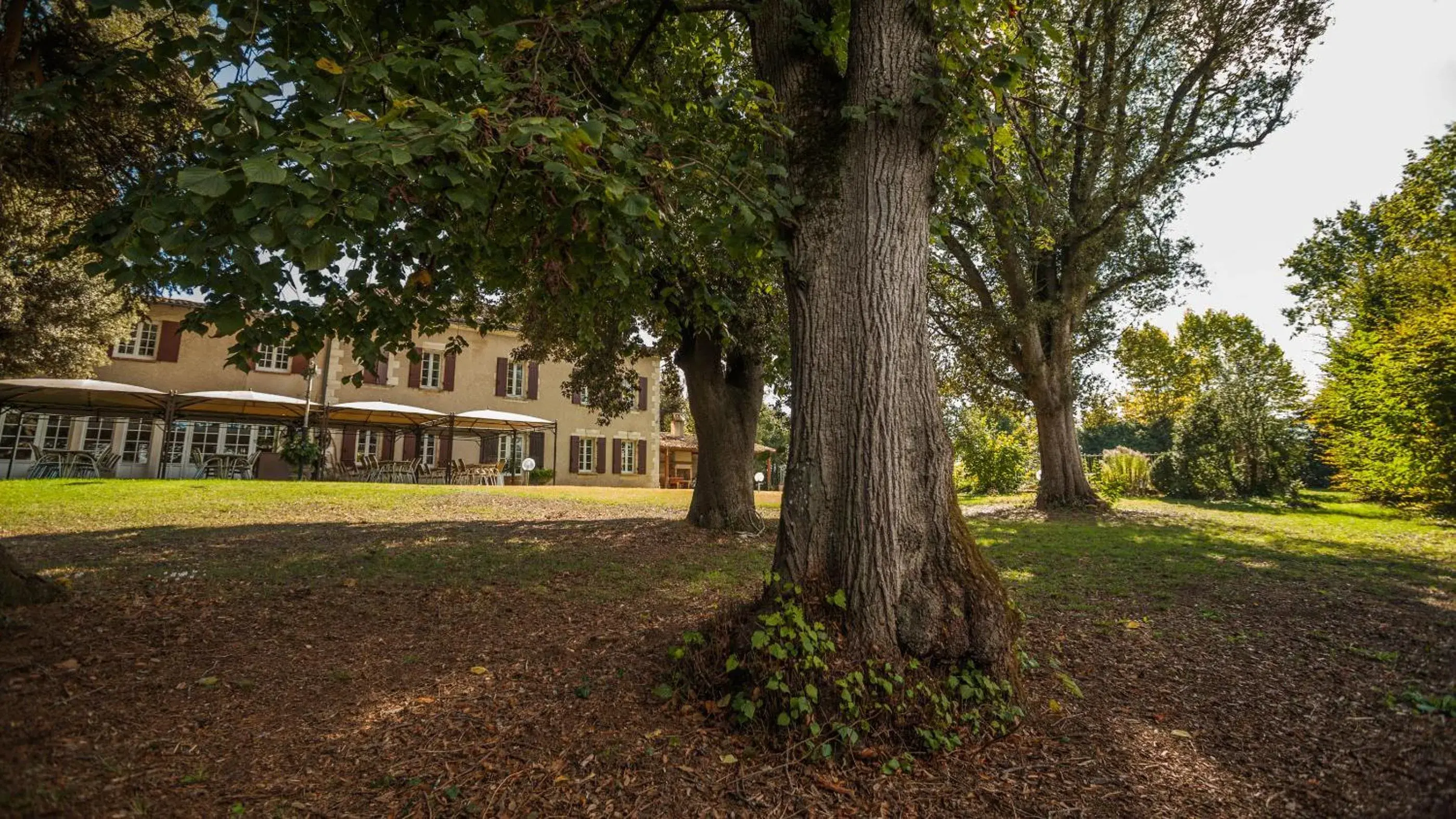 Day, Garden in Hôtel La Flambée