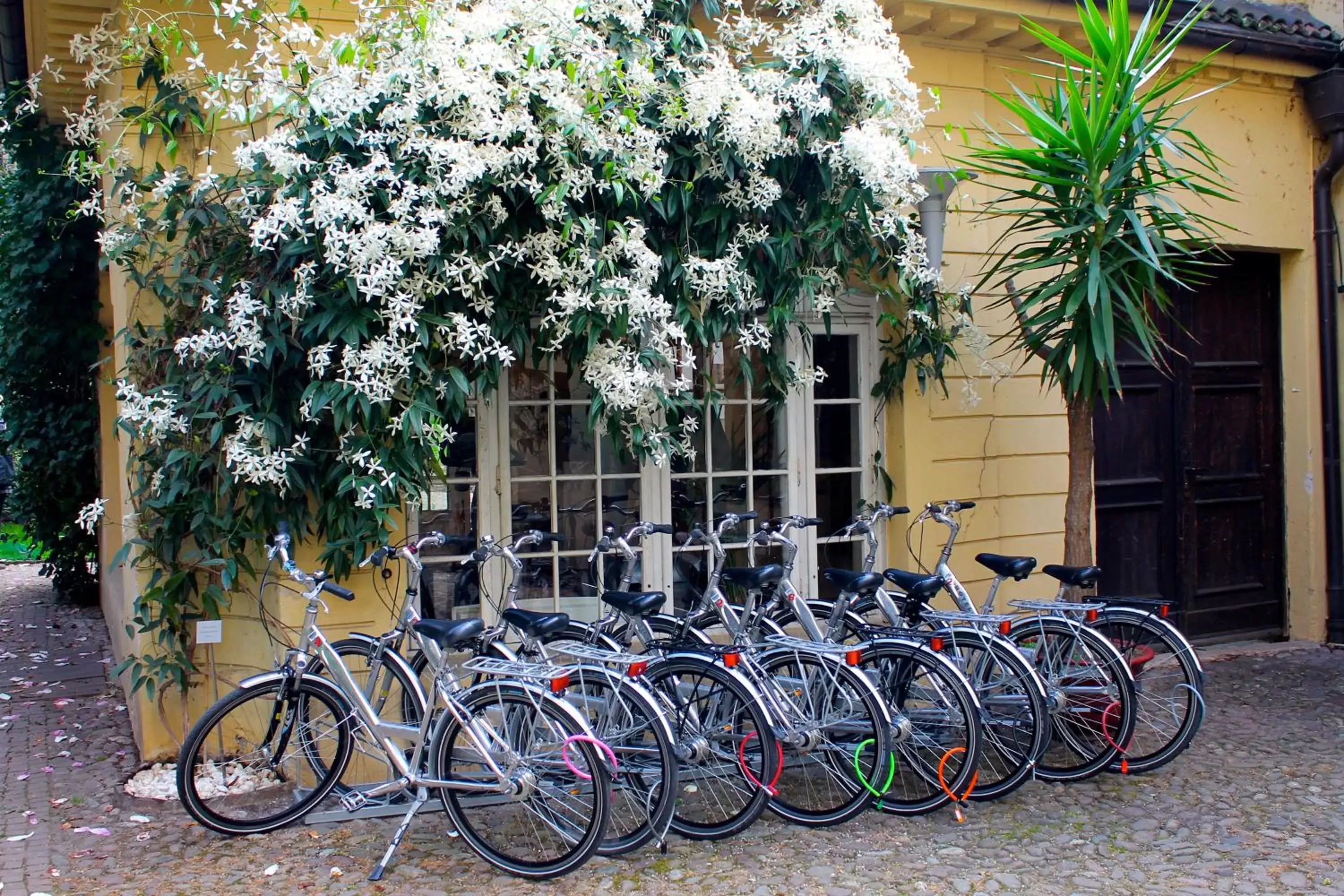 Cycling in Hotel Greif