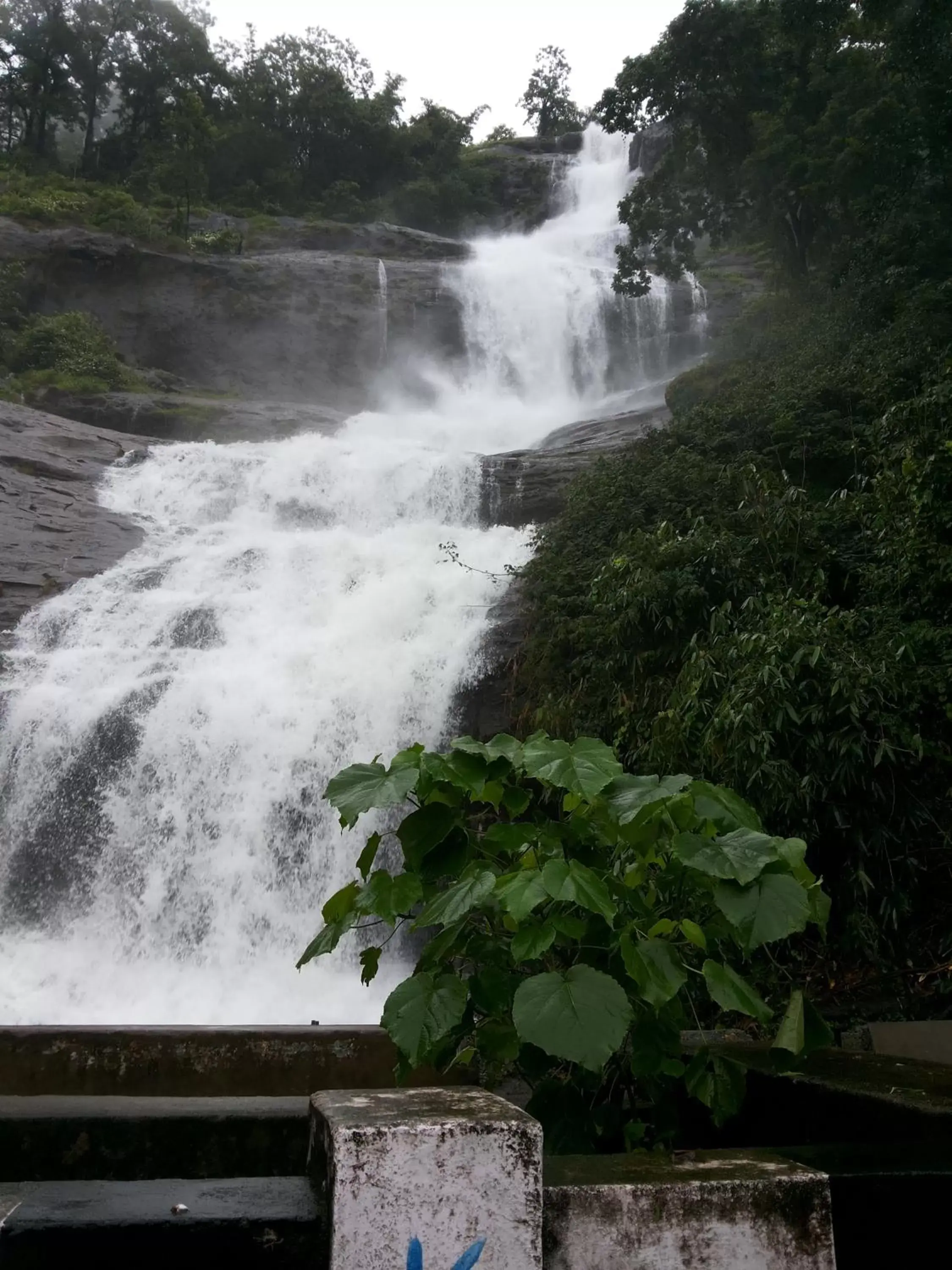 Natural landscape in Abad Copper Castle Resort