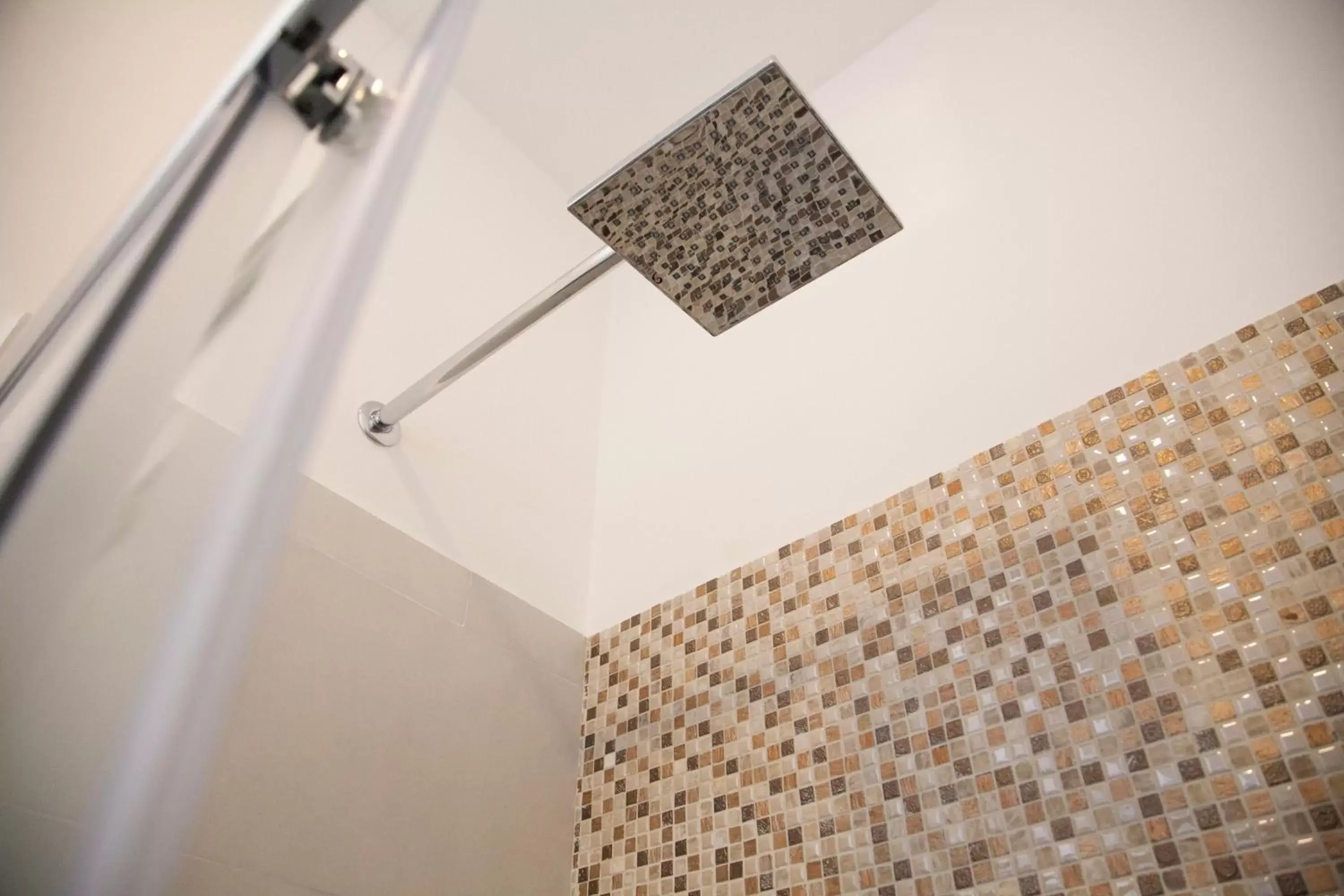 Shower, Bathroom in B&B Residenza le Fonticine