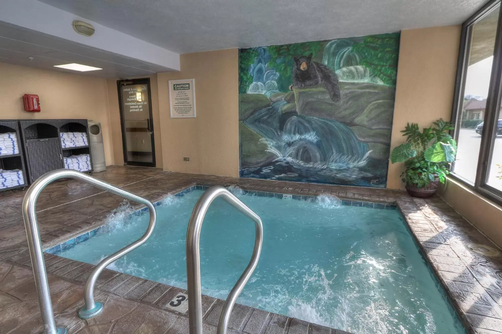 Hot Tub, Swimming Pool in Comfort Inn & Suites at Dollywood Lane