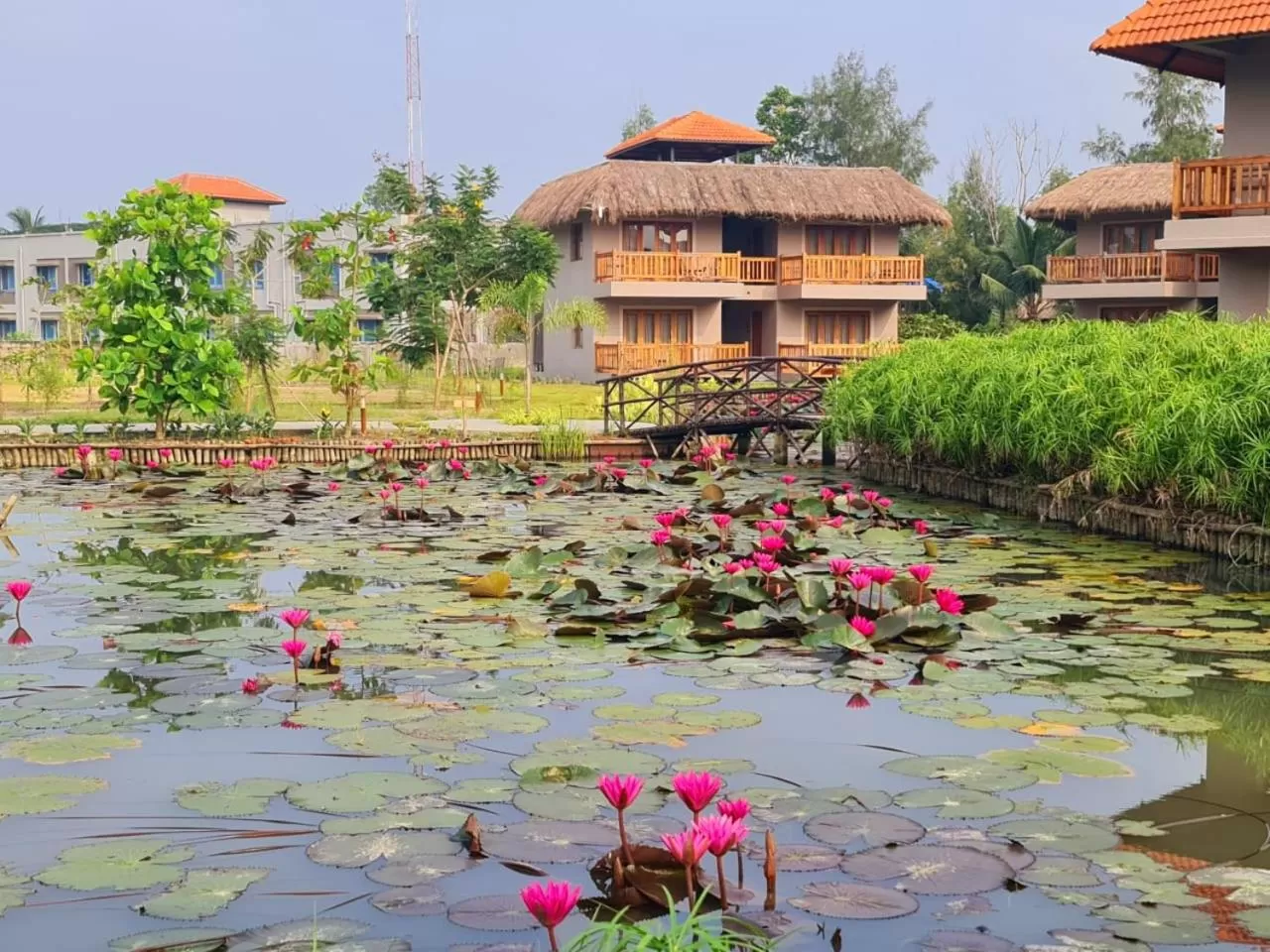 Pool view in Hotel Sonar Bangla Sundarban