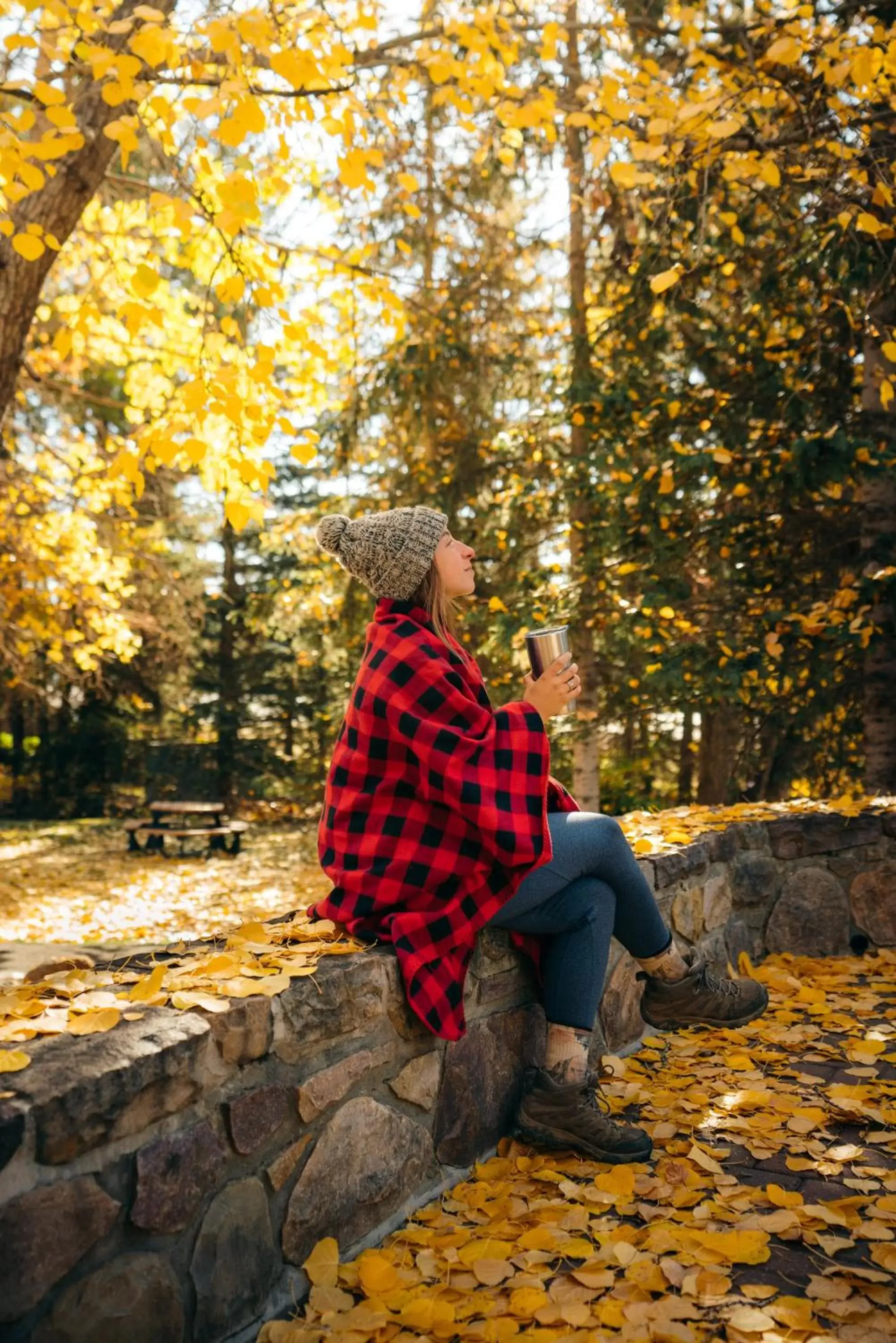 Natural landscape in Lake Louise Inn