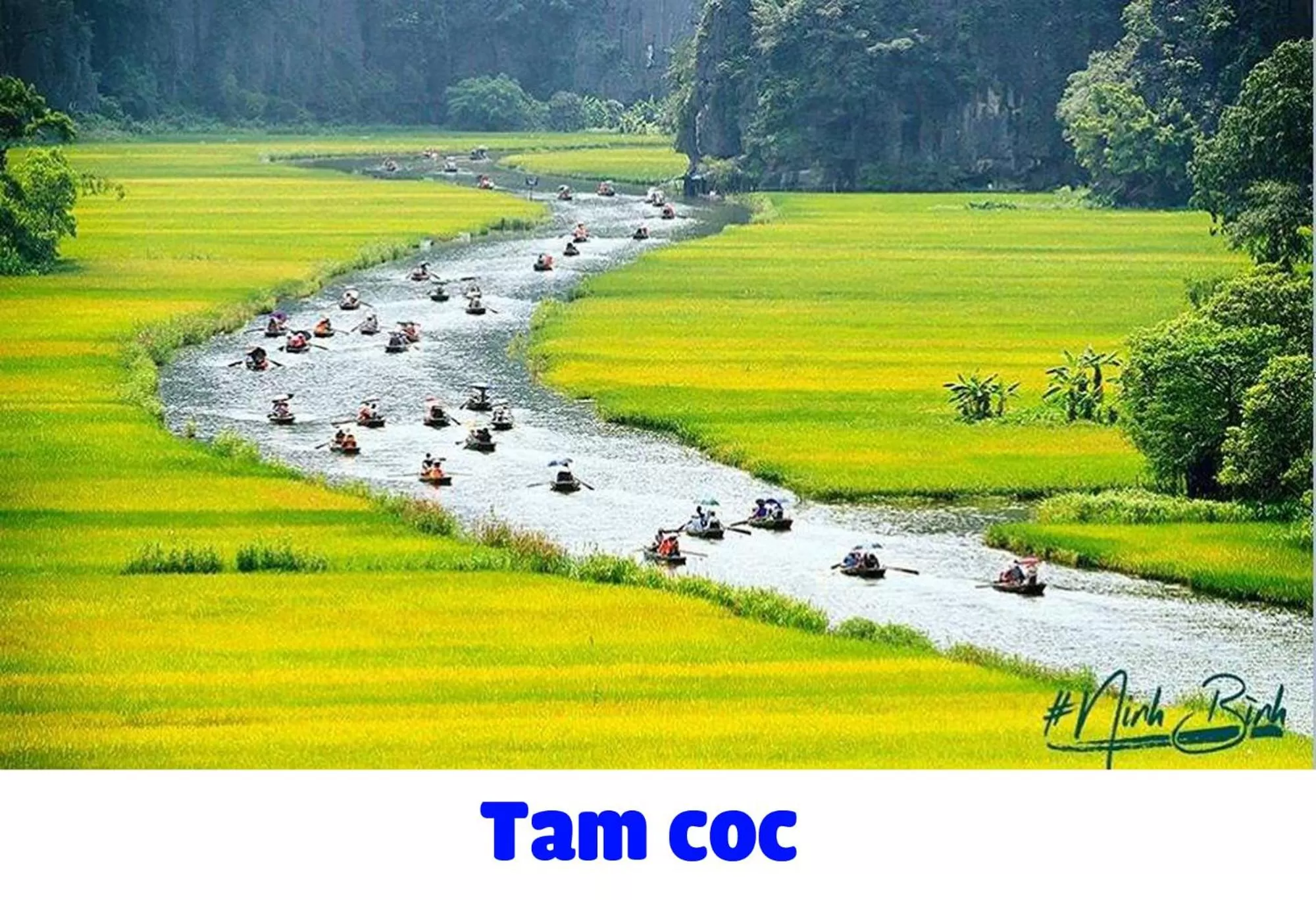 Nearby landmark in Trang An Ao Dai Homestay