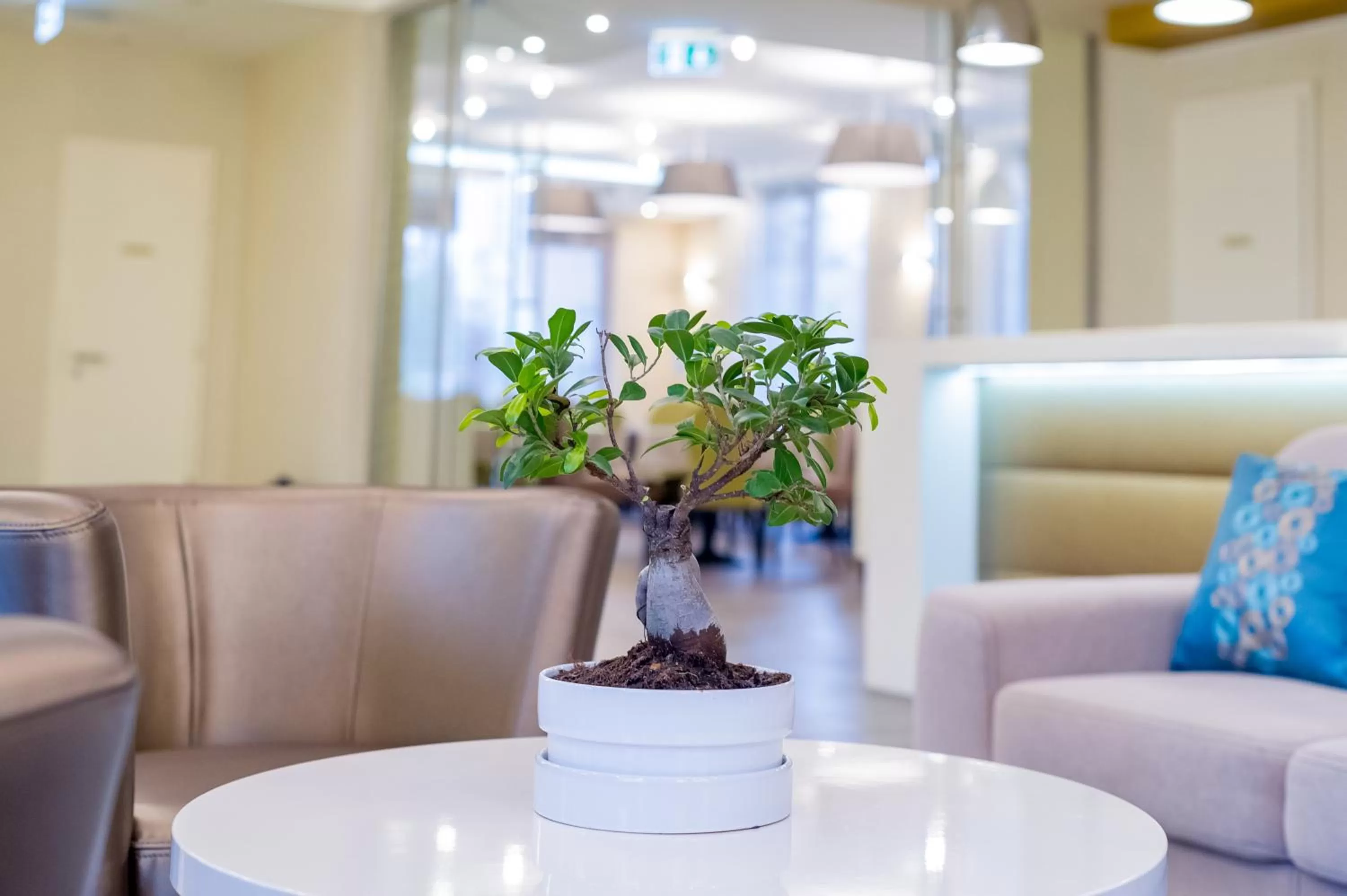 Decorative detail in BH Kristály