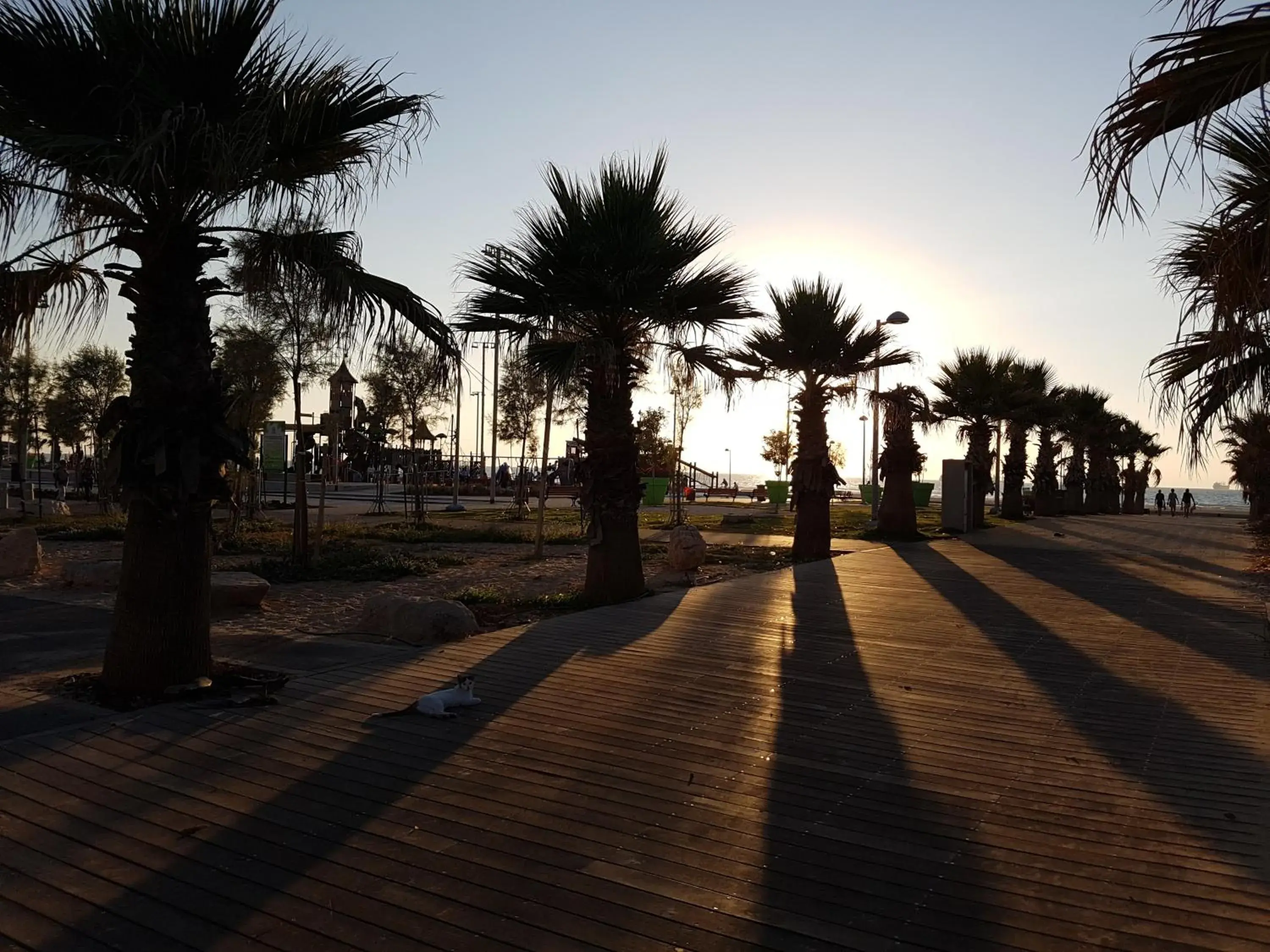 Sea view in Spat Hotel Ashdod