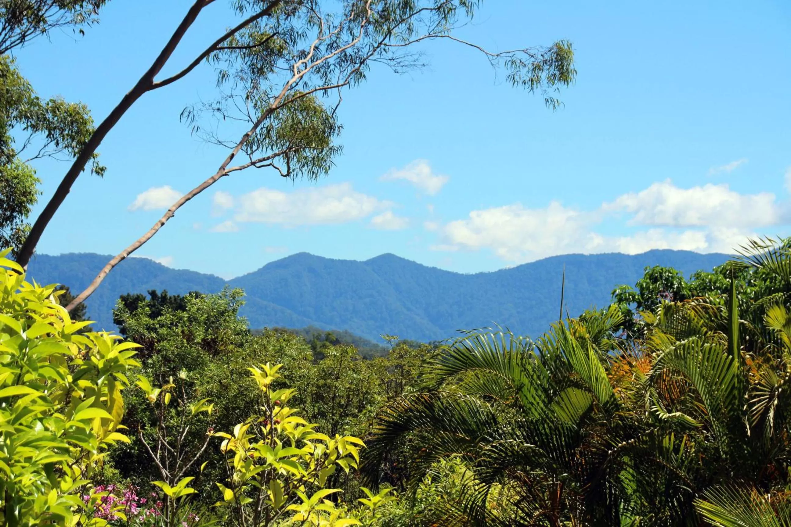 Day in Bella Vista Bellingen