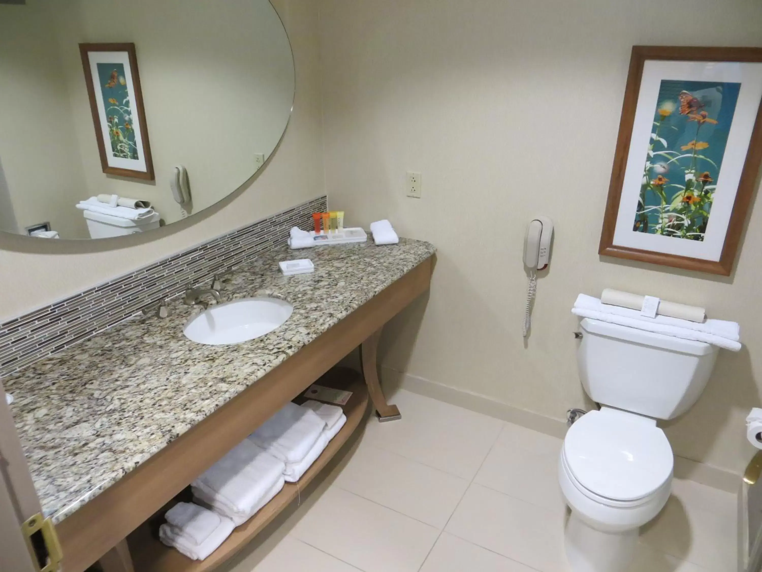 King Room - Disability Access - Pyramid View in Moody Gardens Hotel, Spa and Convention Center