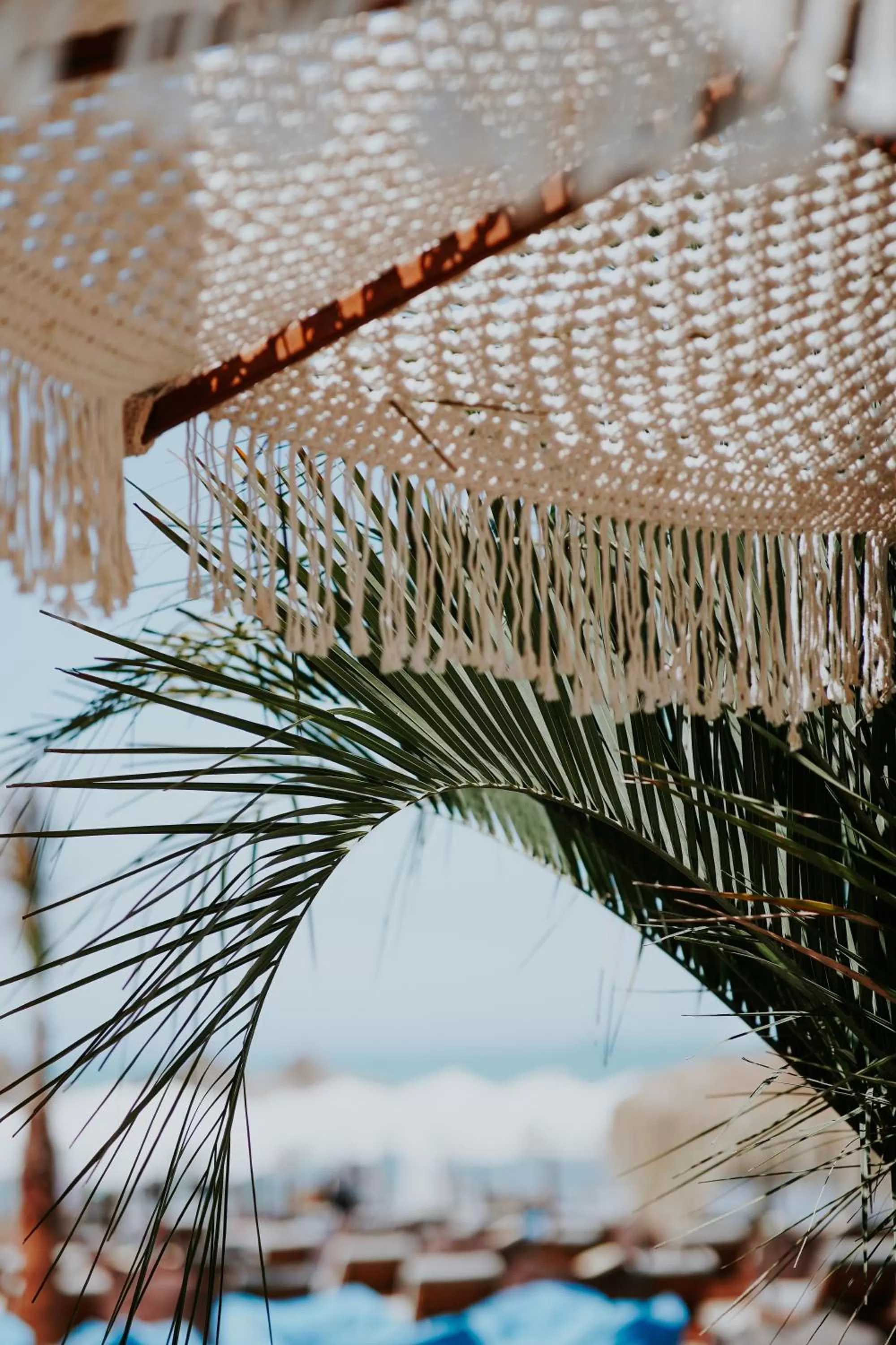 Natural landscape in Martiness Hotel Durres