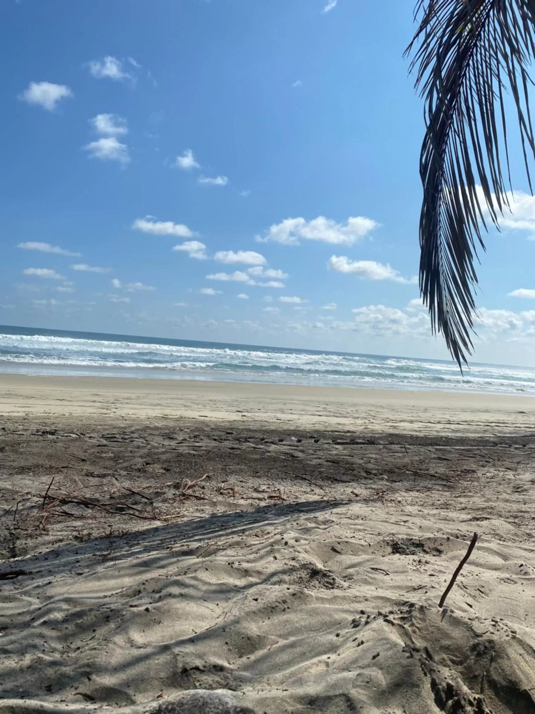 Beach in Casa TACUBA