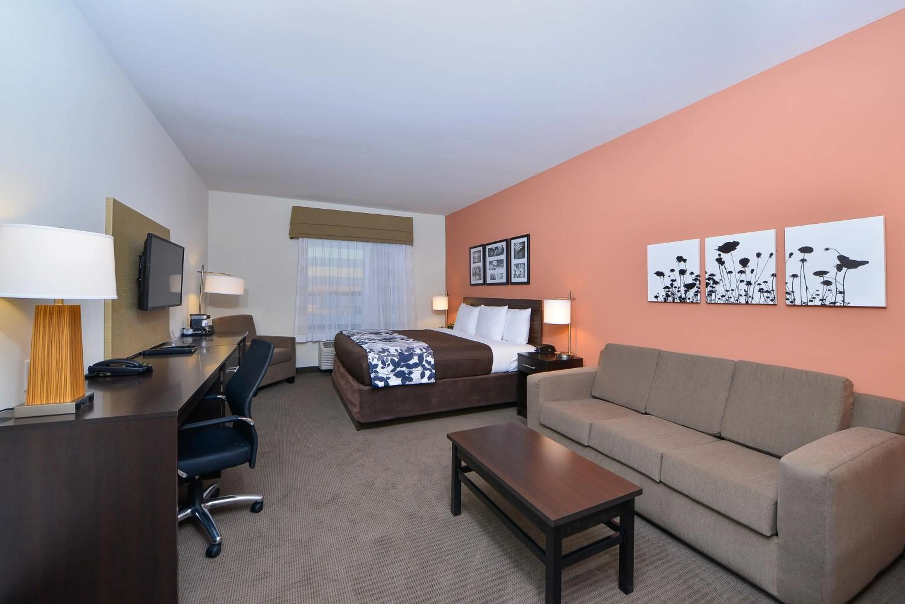 Photo of the whole room in Sleep Inn & Suites Austin – Tech Center