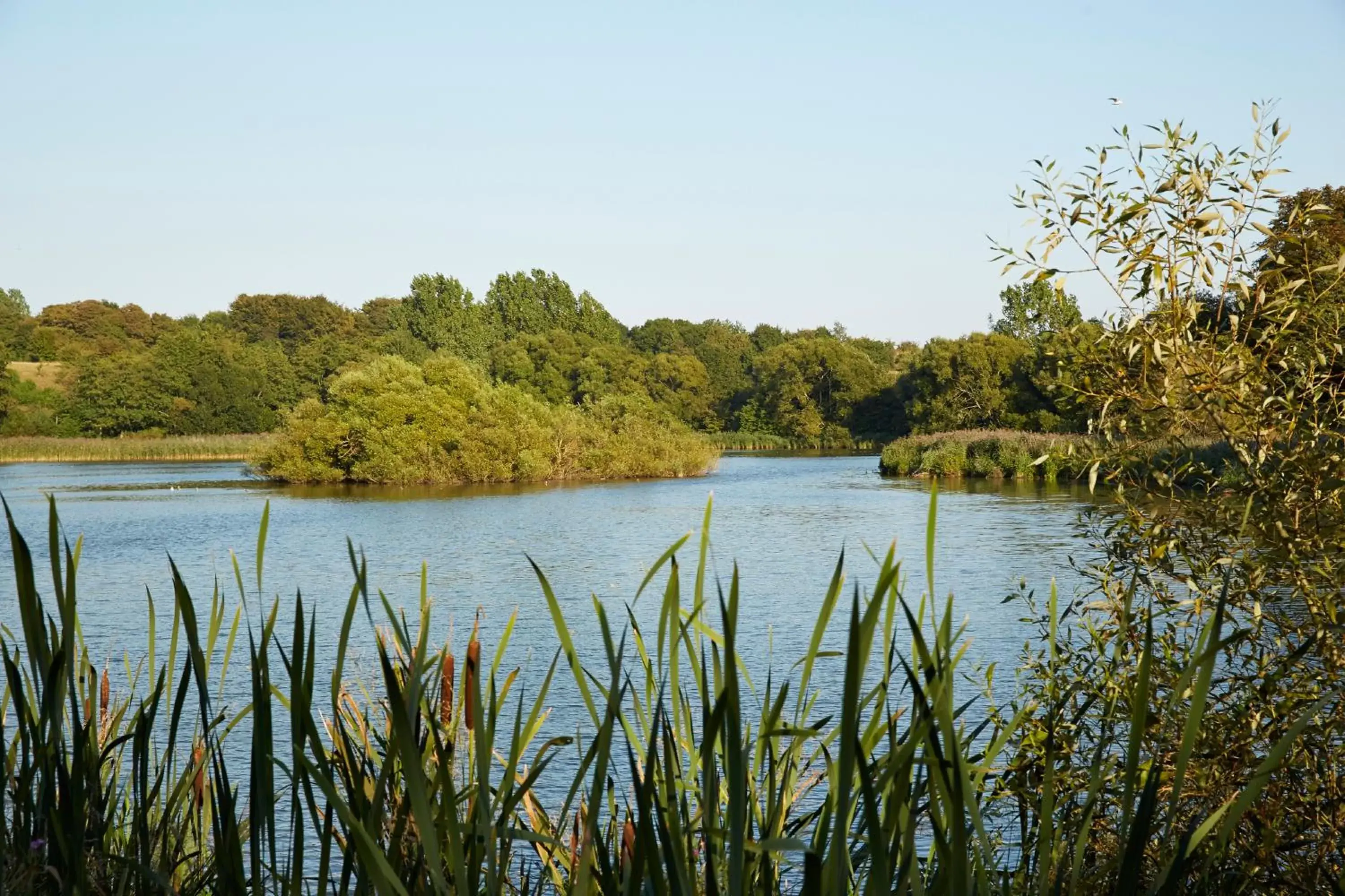 Natural landscape in Best Western Plus Hotel Fredericia