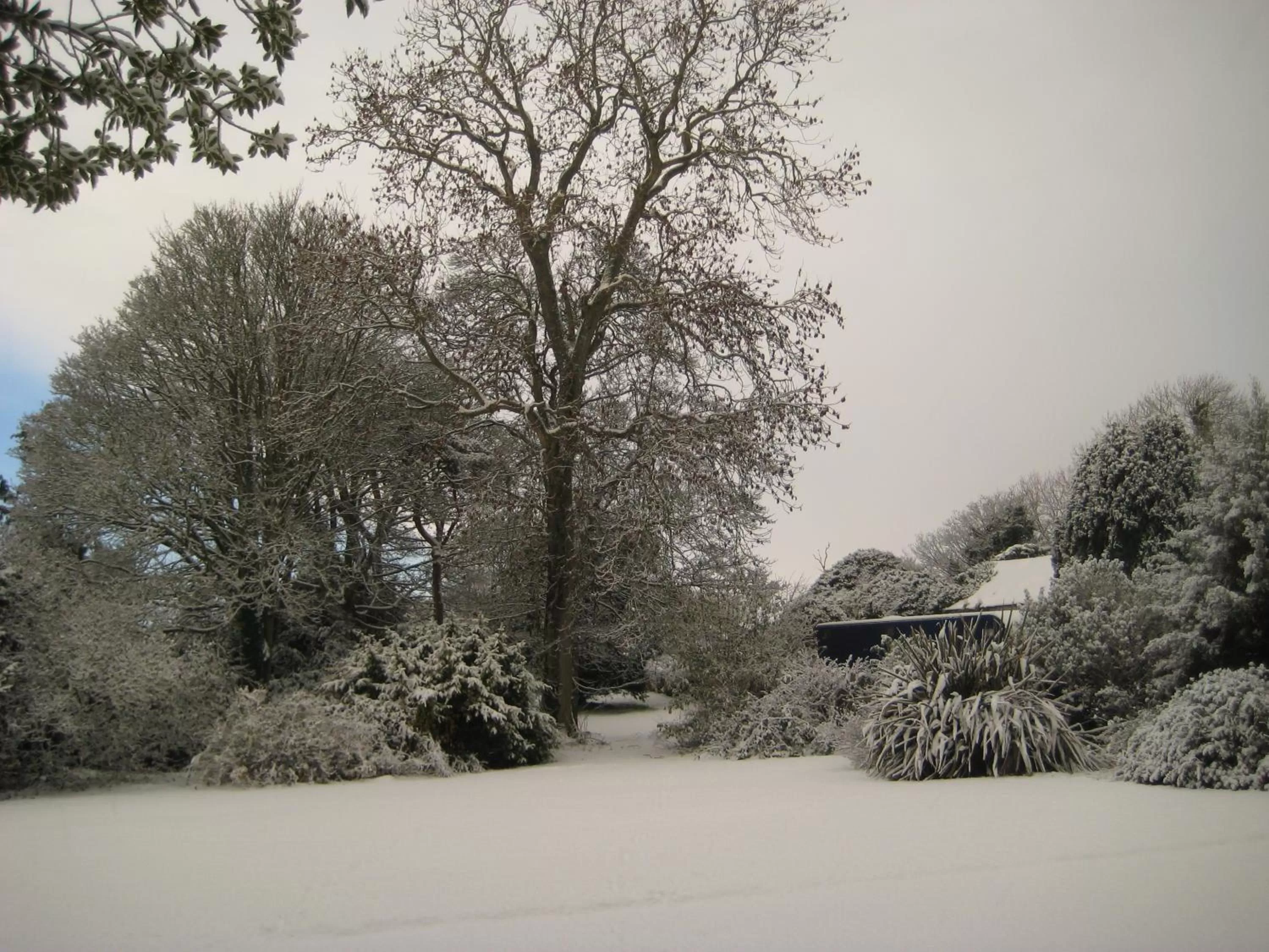 Garden view in Ballymote Country House