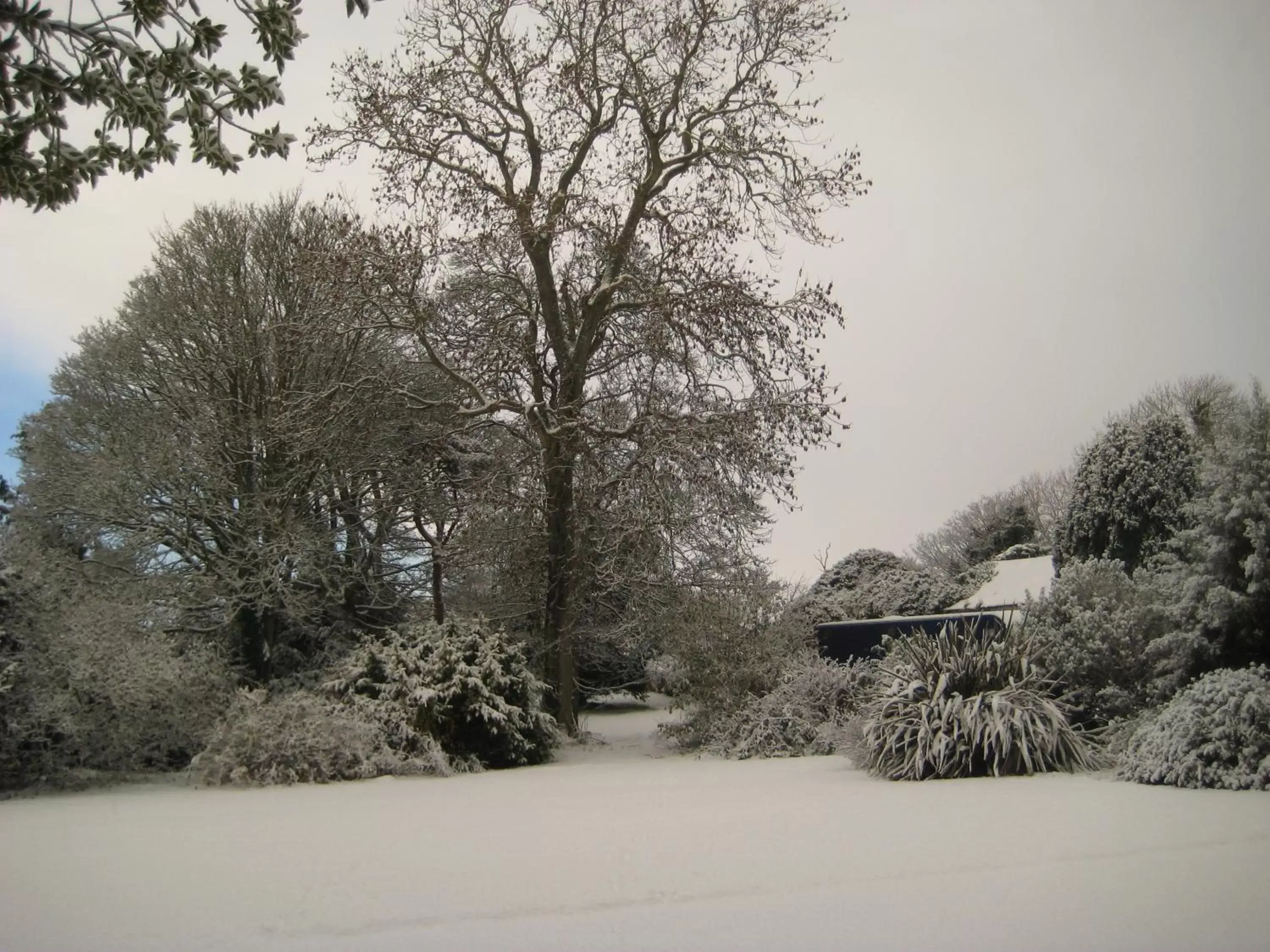 Garden view, Winter in Ballymote Country House