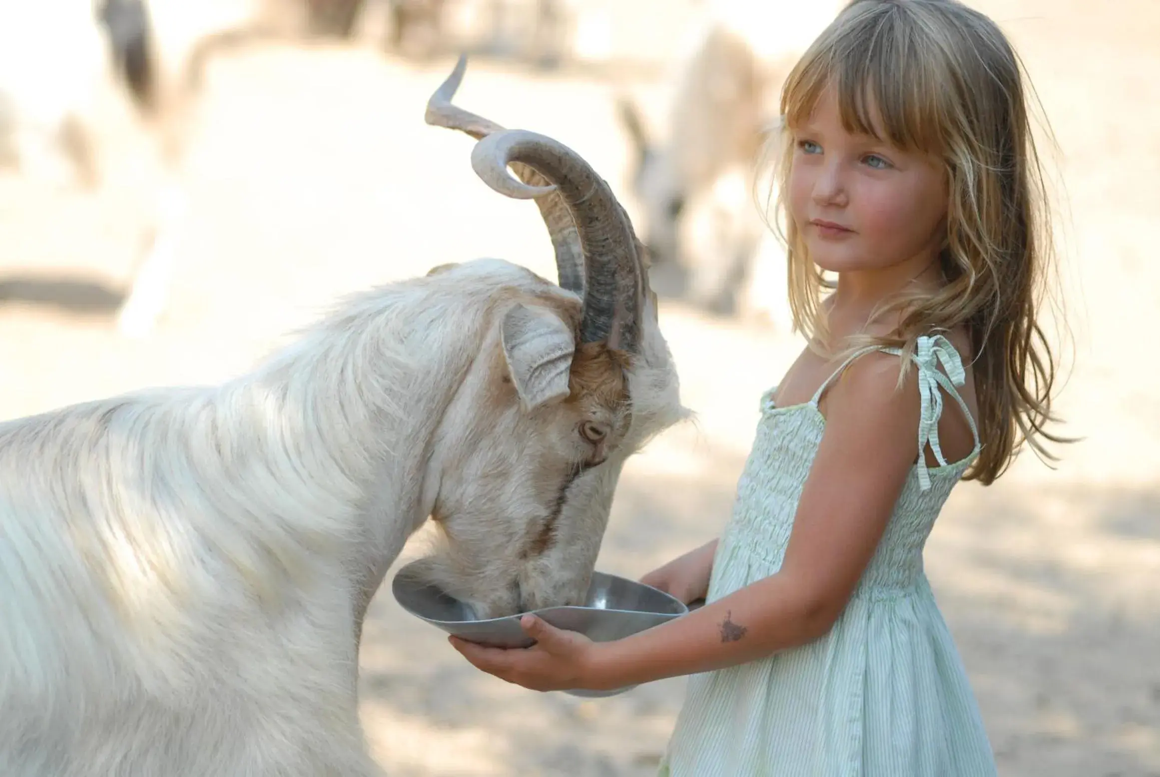 Garden, Children in Arbatax Park Resort - Suites Del Mare