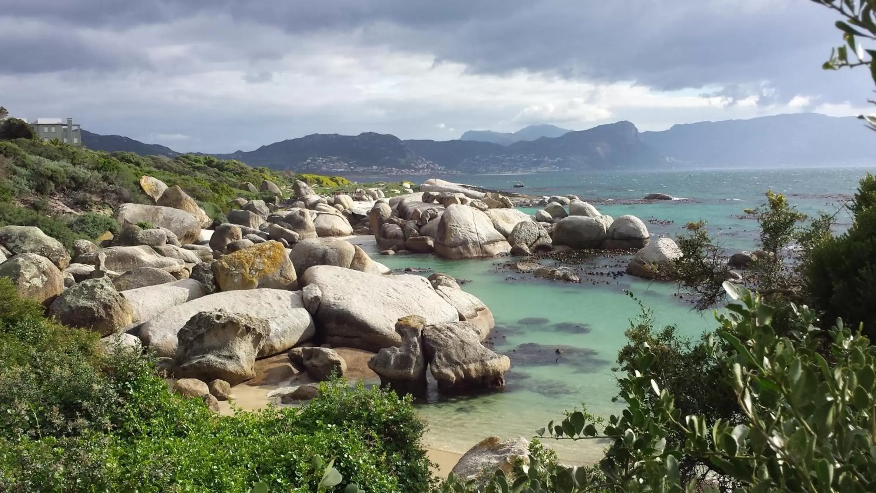 Neighbourhood in Boulders Beach Hotel, Cafe and Curio shop