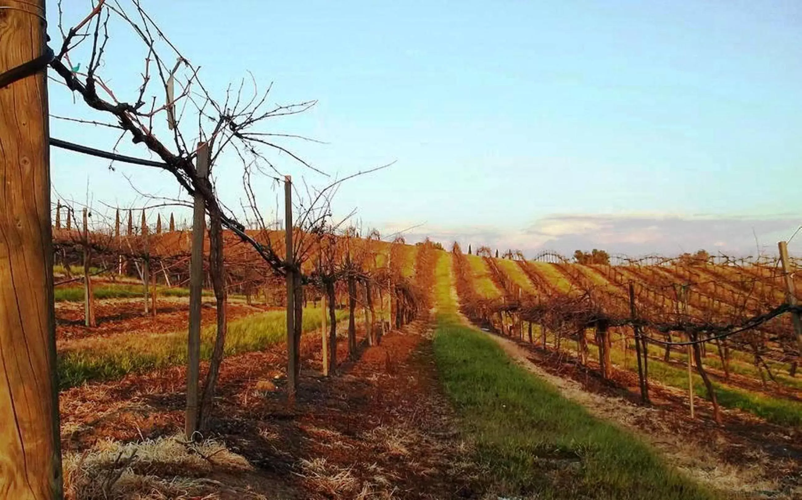 Activities, Natural Landscape in The Grape Leaf Inn