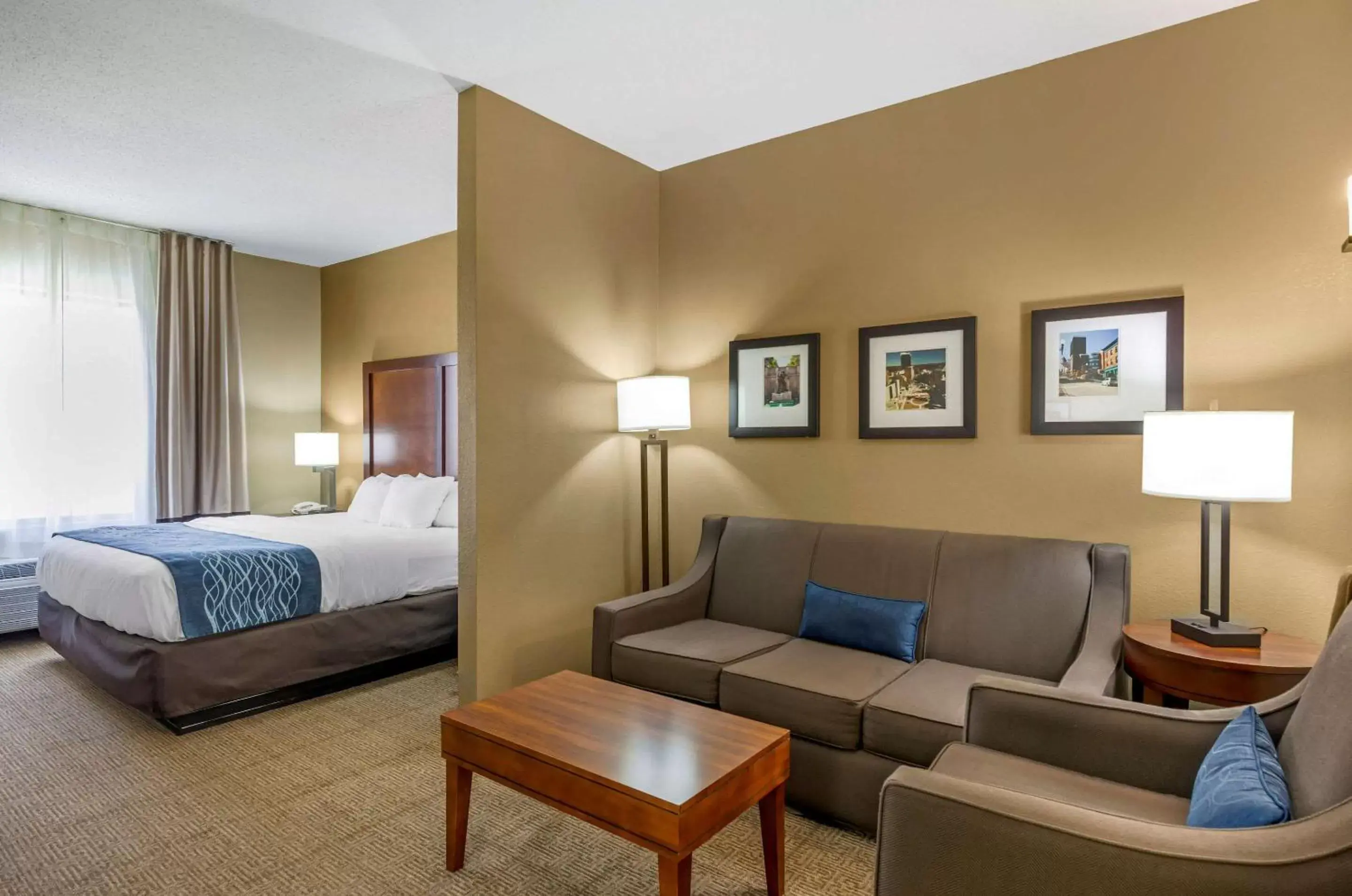 Photo of the whole room in Comfort Inn & Suites Lynchburg Airport - University Area