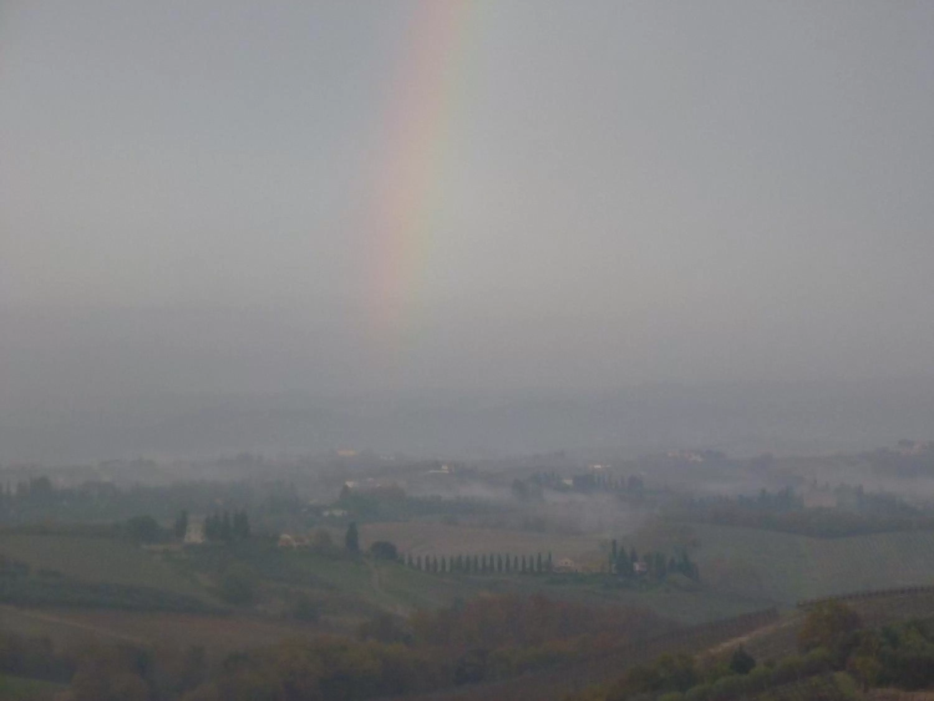 Natural landscape in B&B I Coppi