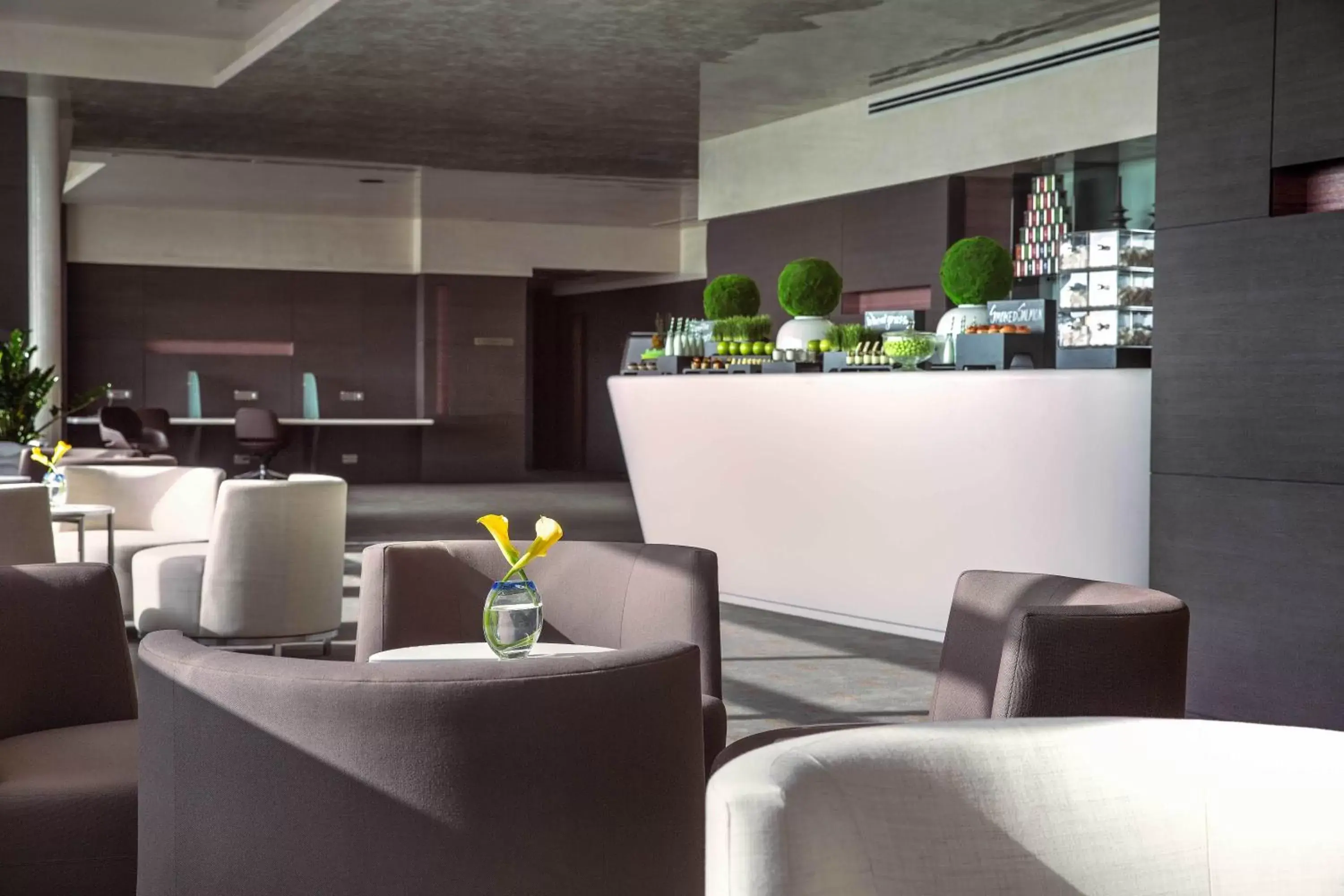 Meeting/conference room, Lounge/Bar in The Art Hotel & Resort