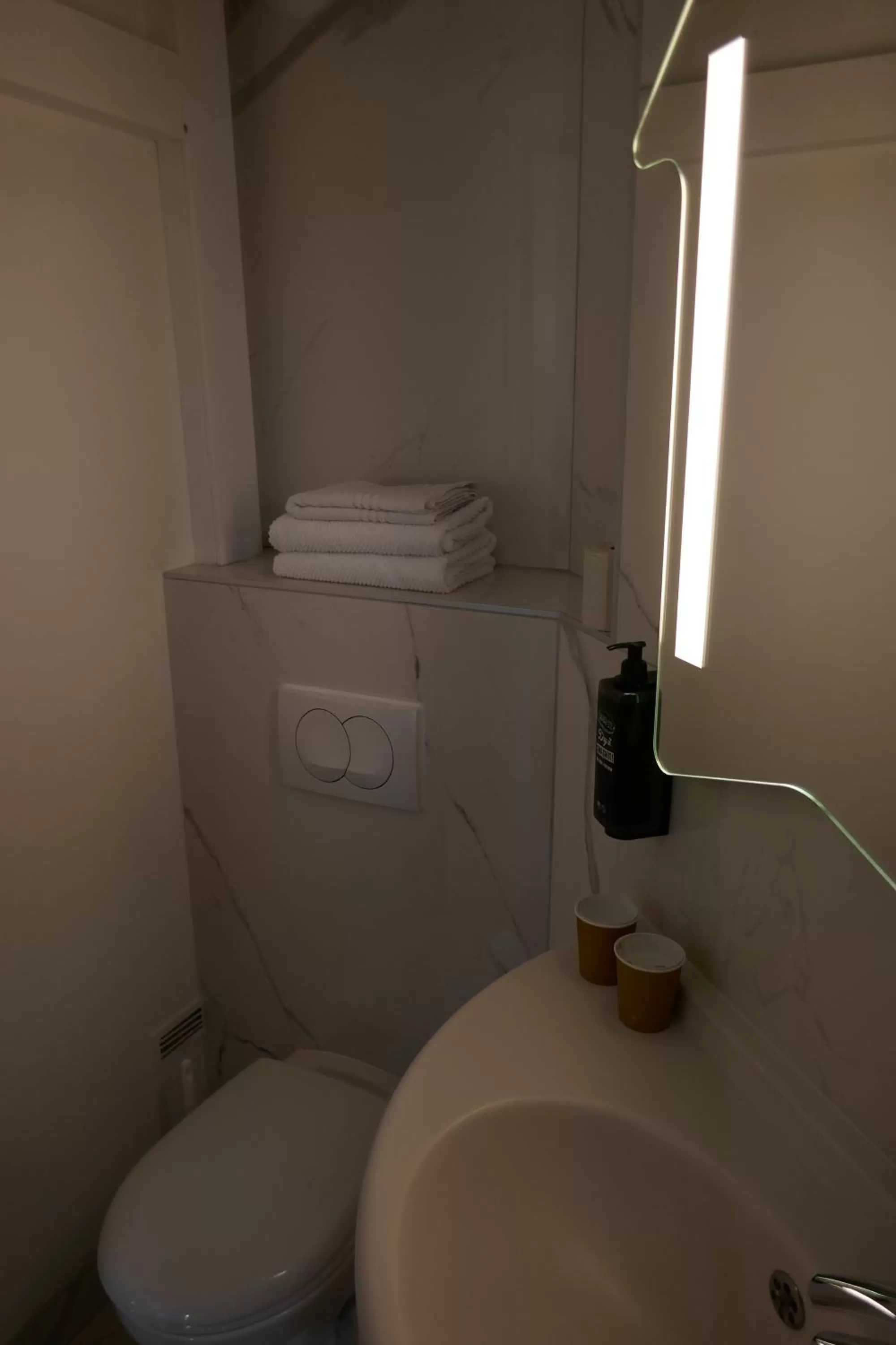 Toilet in Ibis budget Périgueux