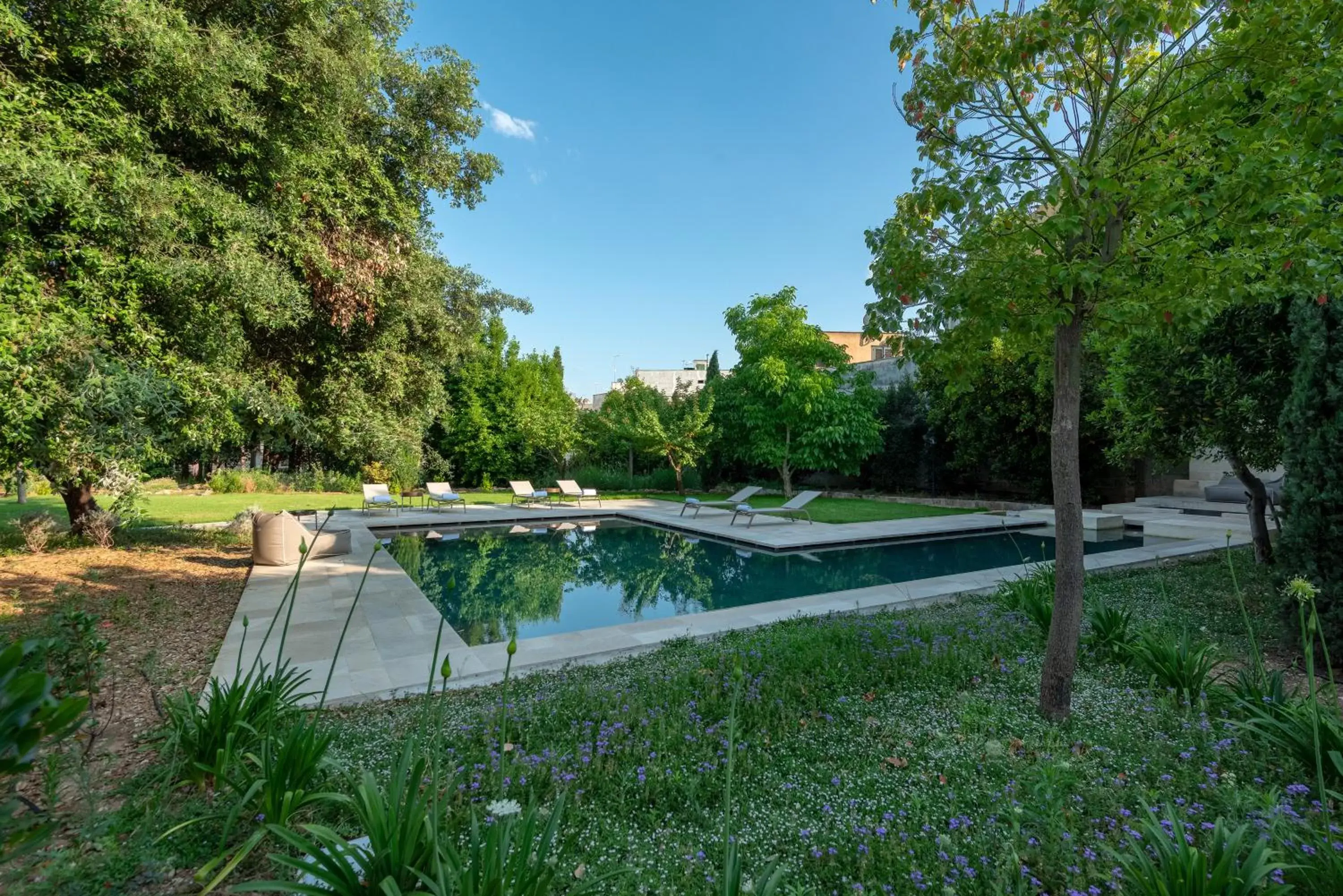 Garden, Swimming Pool in Palazzo Donna Elisabetta