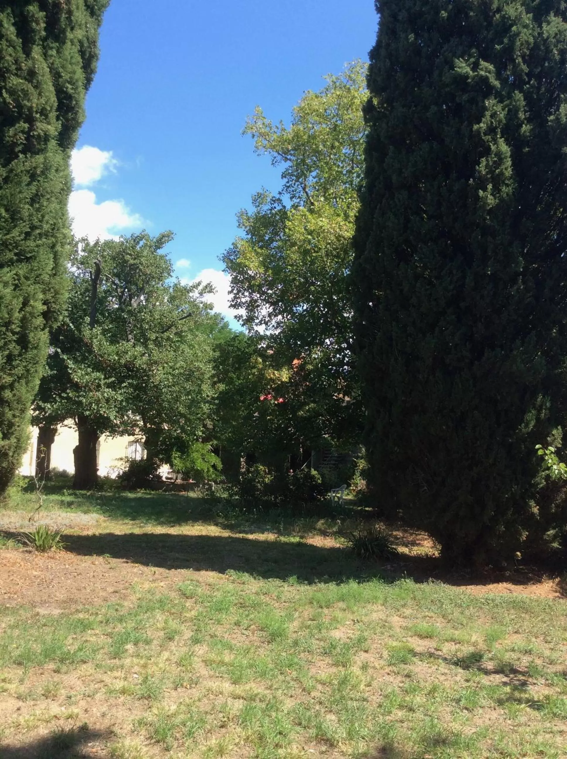 Garden in Art Home BnB