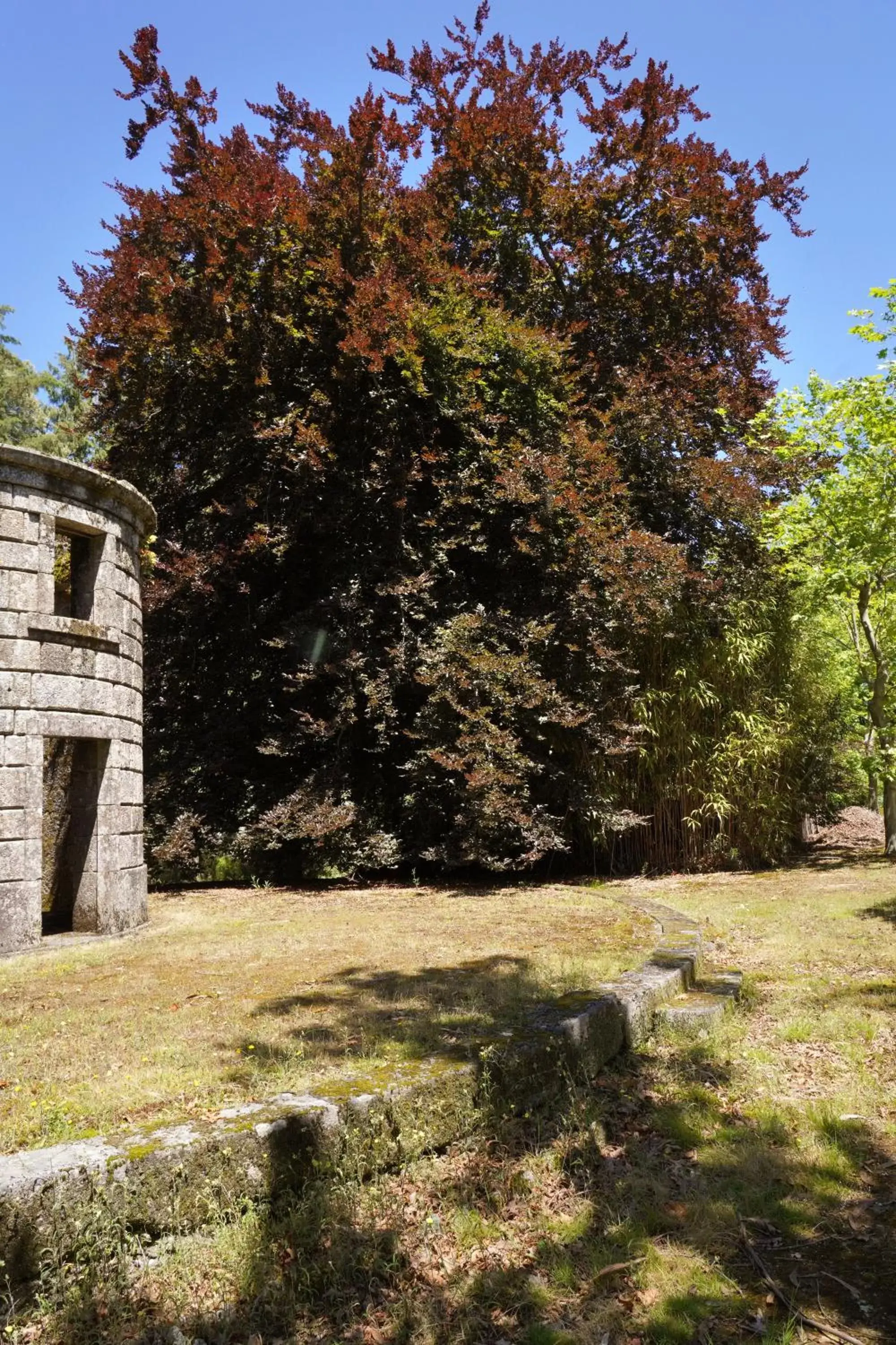 Natural landscape, Garden in The Grove Houses