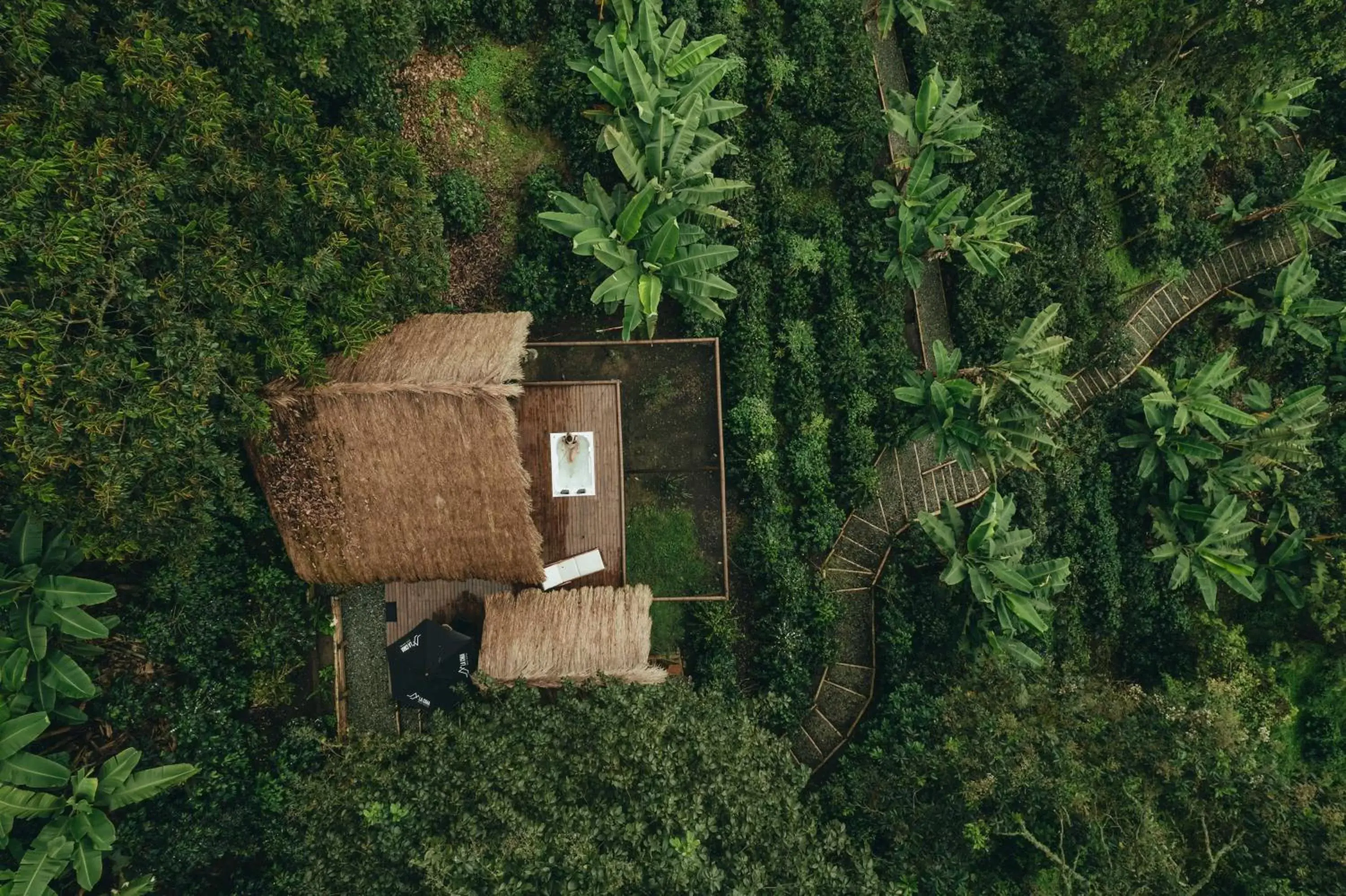 Deluxe King Suite in La Cima Eco Hotel Deluxe King Suite in La Cima Eco Hotel