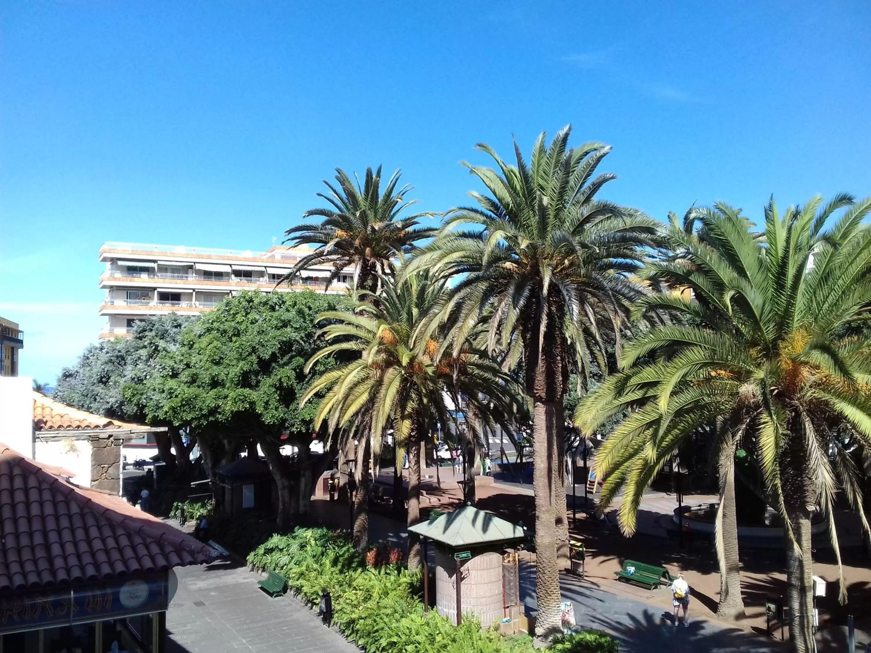 View (from property/room) in Hotel Tropical