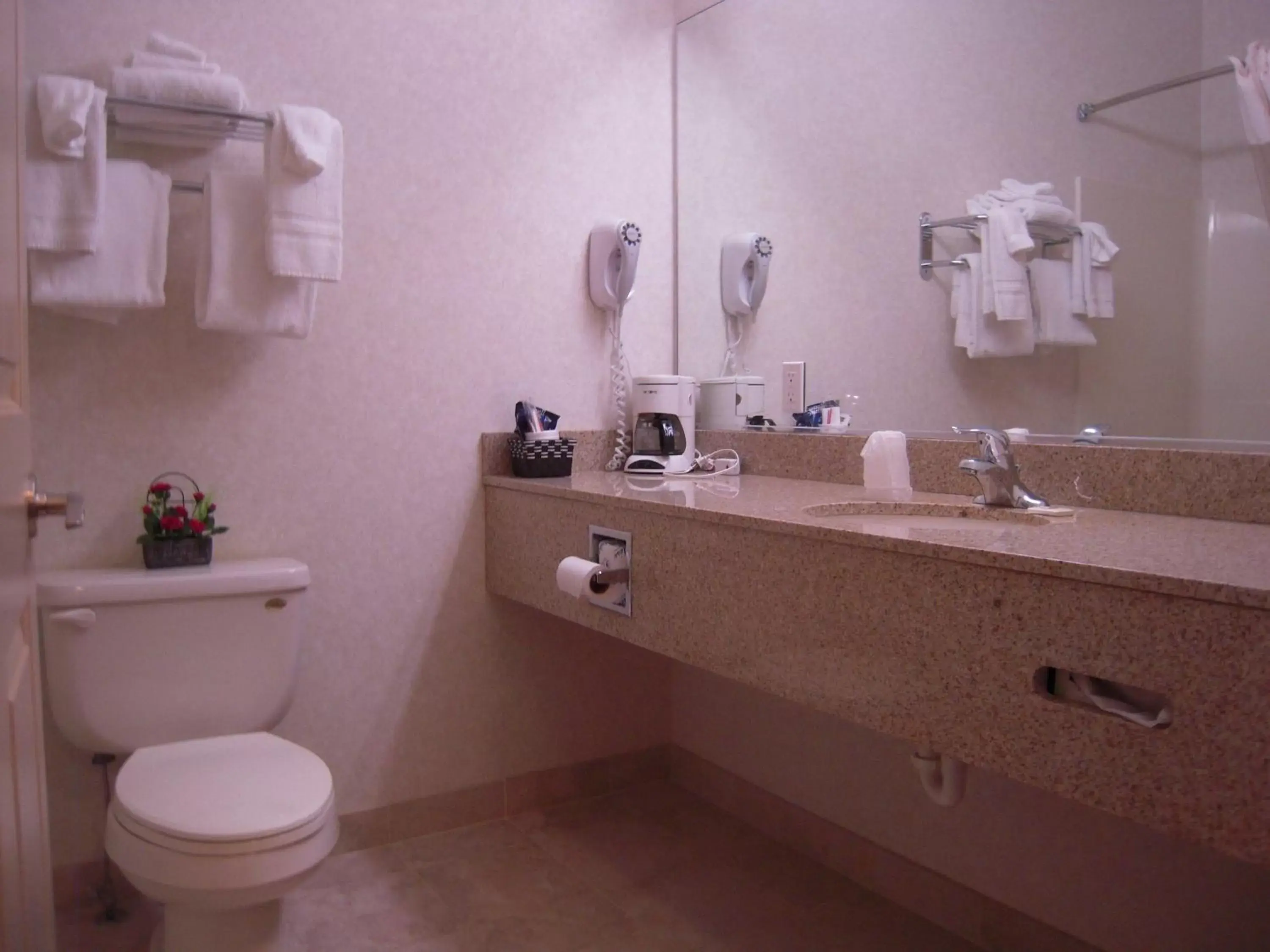 Bathroom in Super 8 by Wyndham Albany