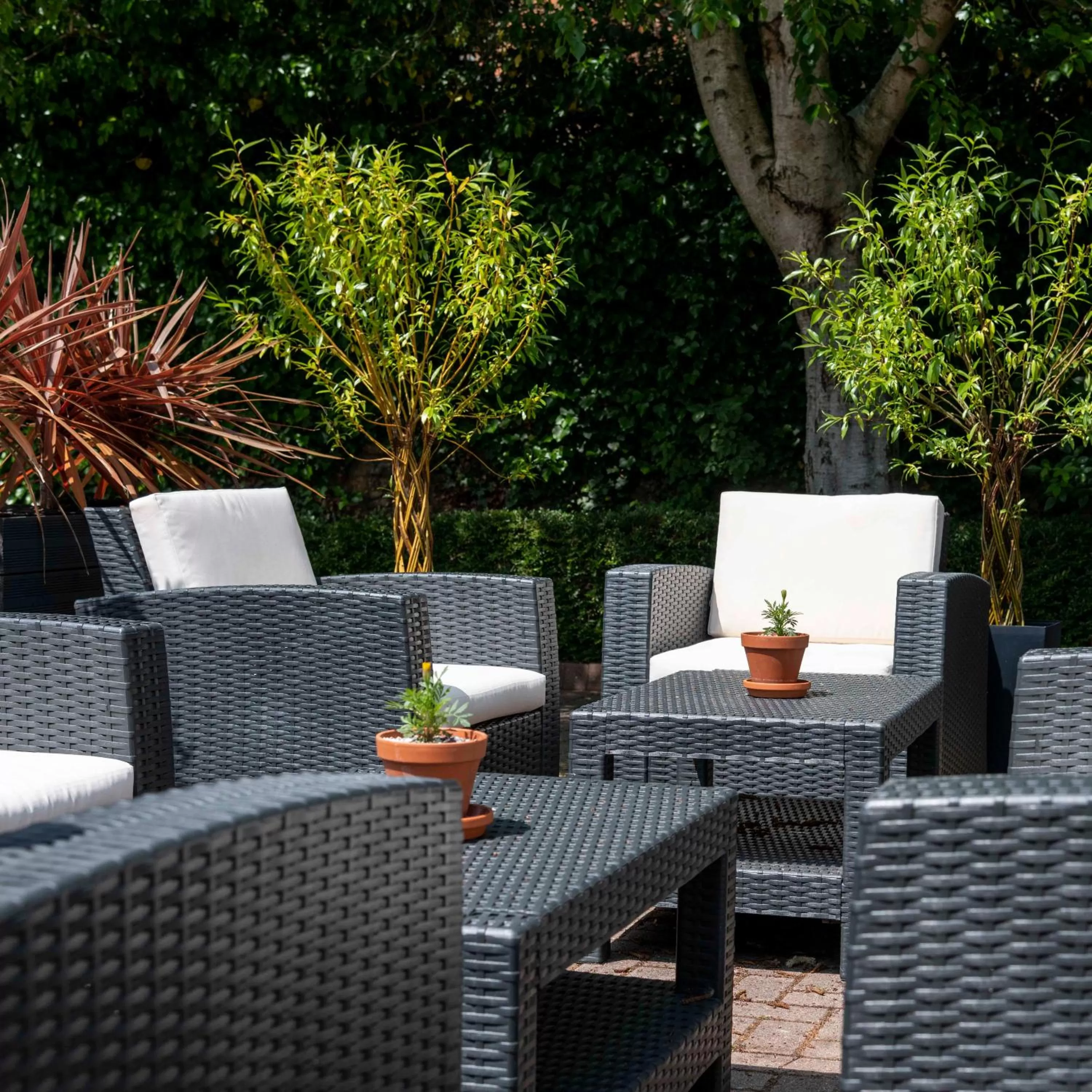 Property building, Seating Area in Wisteria Hotel