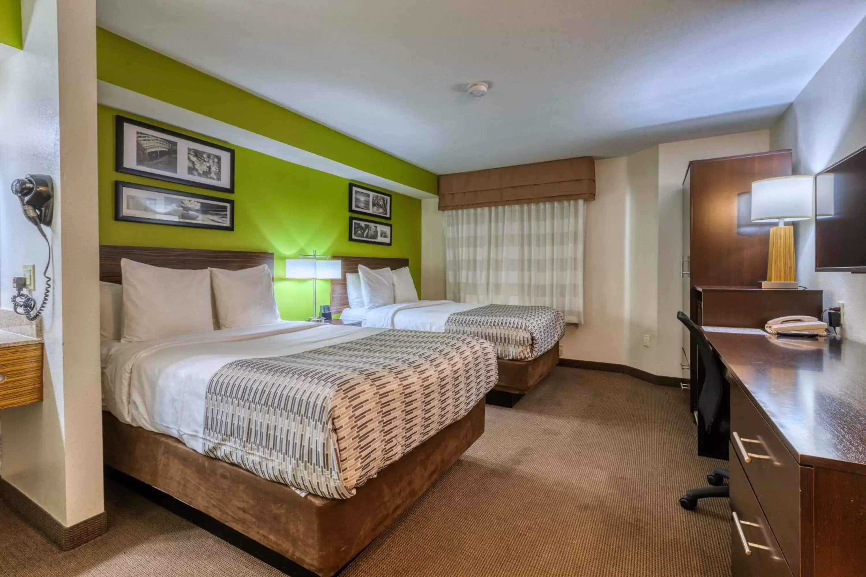 Bedroom, Bed in Surestay Plus Hotel by Best Western Superstition Springs