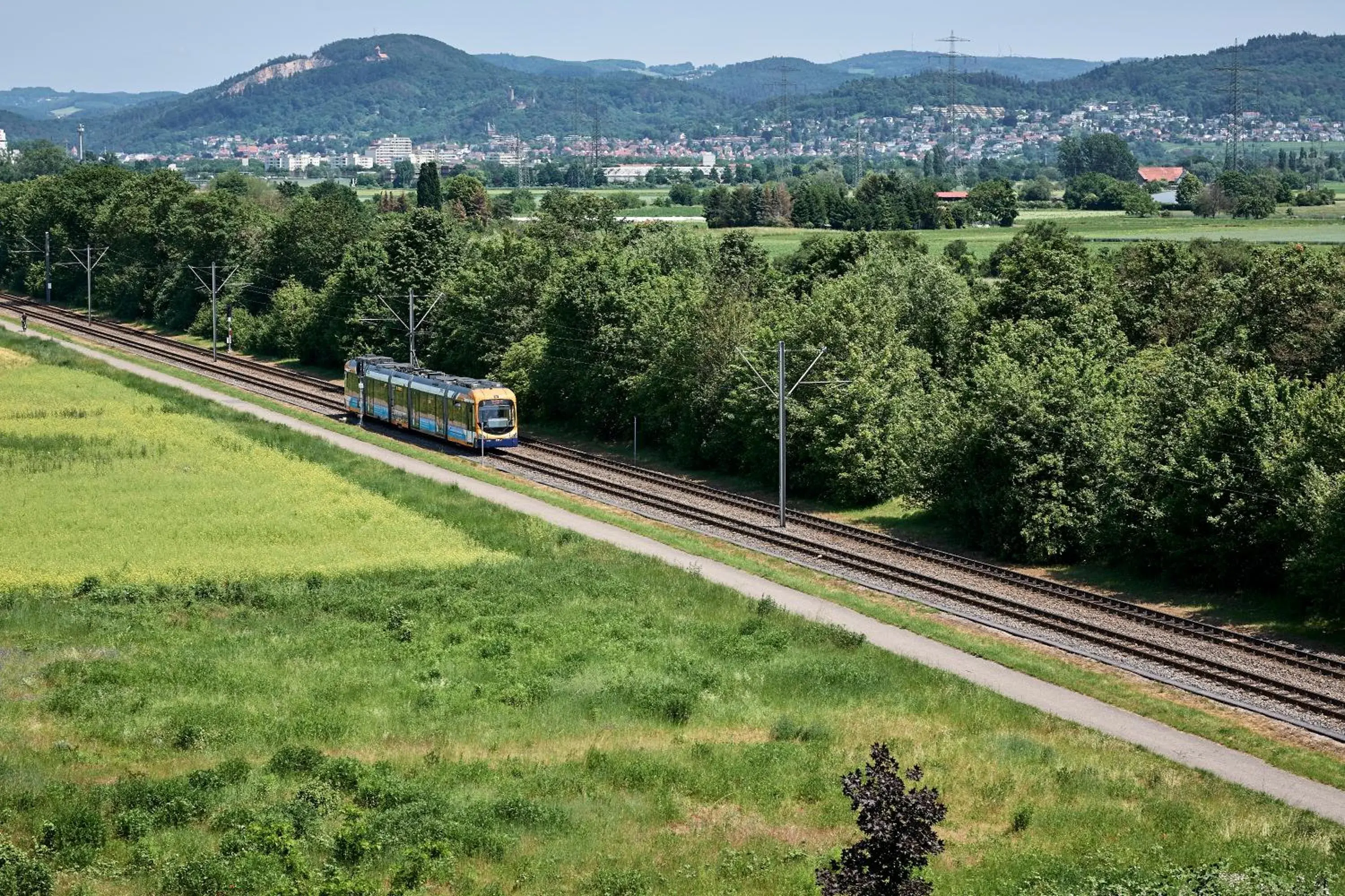 Natural landscape in Best Western Hotel Viernheim Mannheim