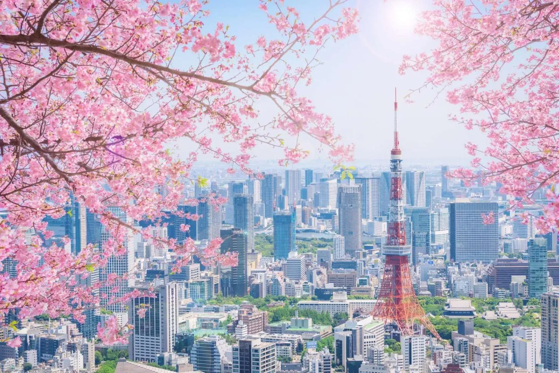 Pullman Tokyo Tamachi Pullman Tokyo Tamachi