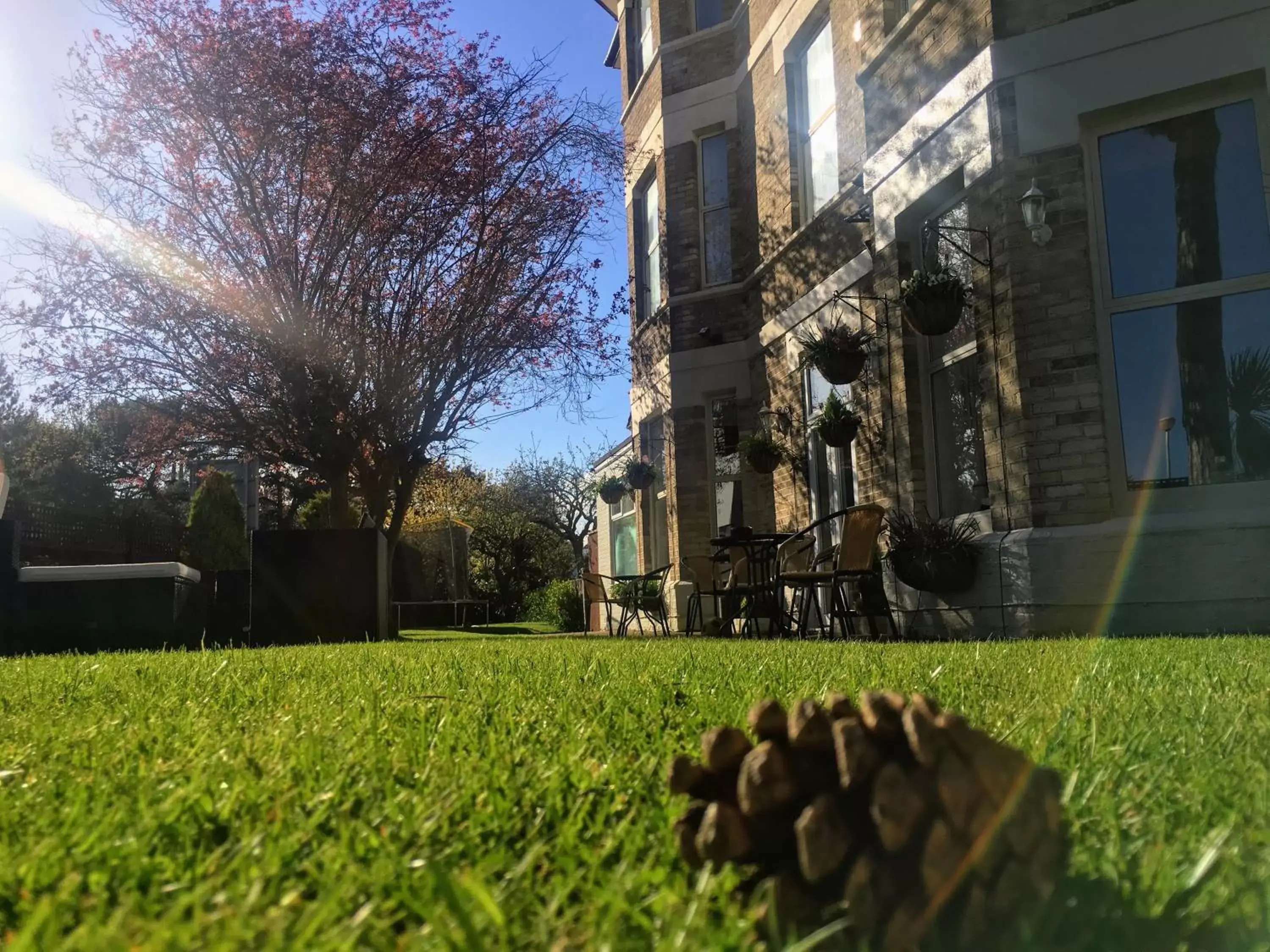 Garden in Applewood Hotel