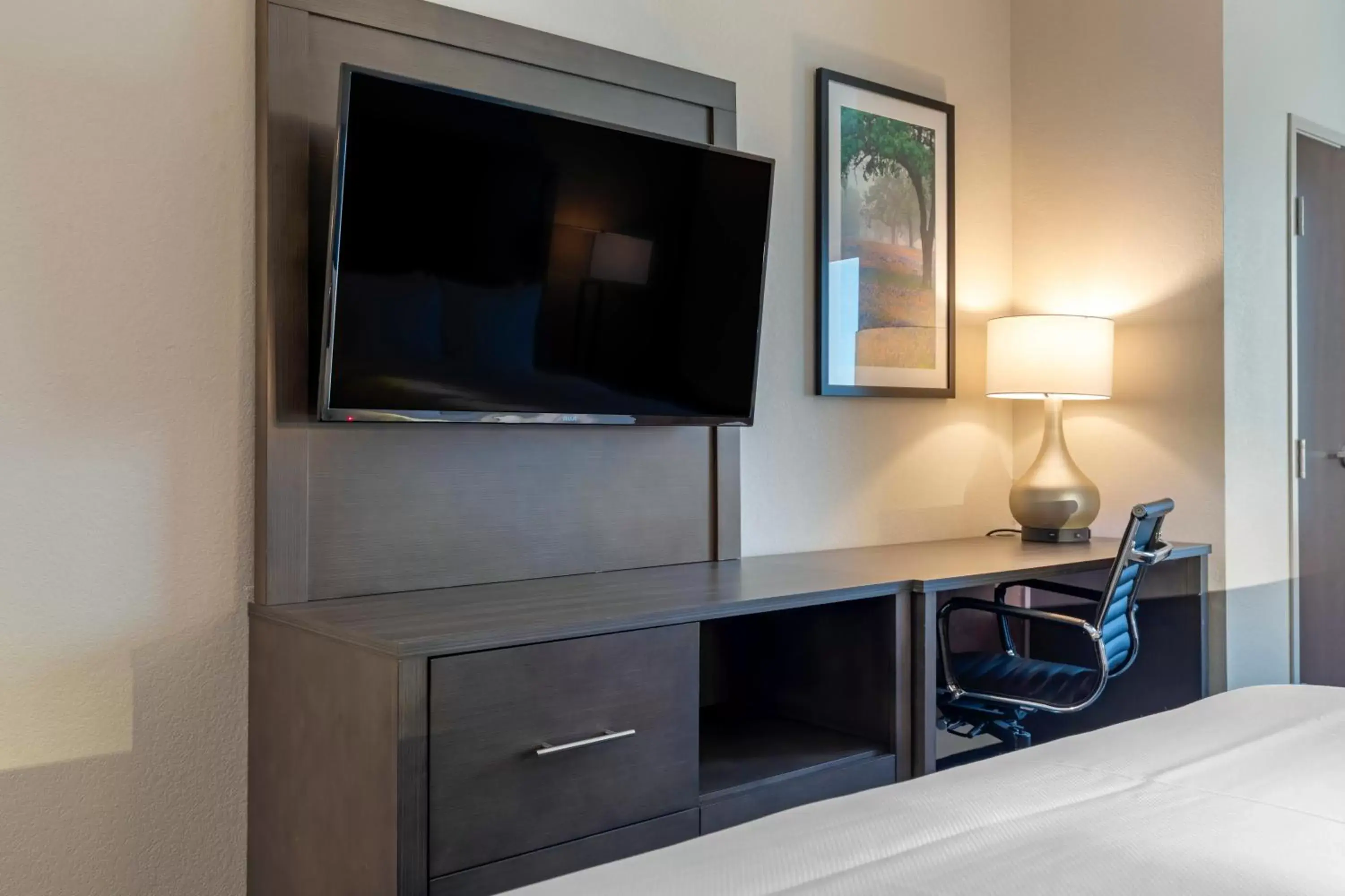 TV and multimedia, TV/Entertainment Center in Comfort Inn & Suites Balch Springs - SE Dallas