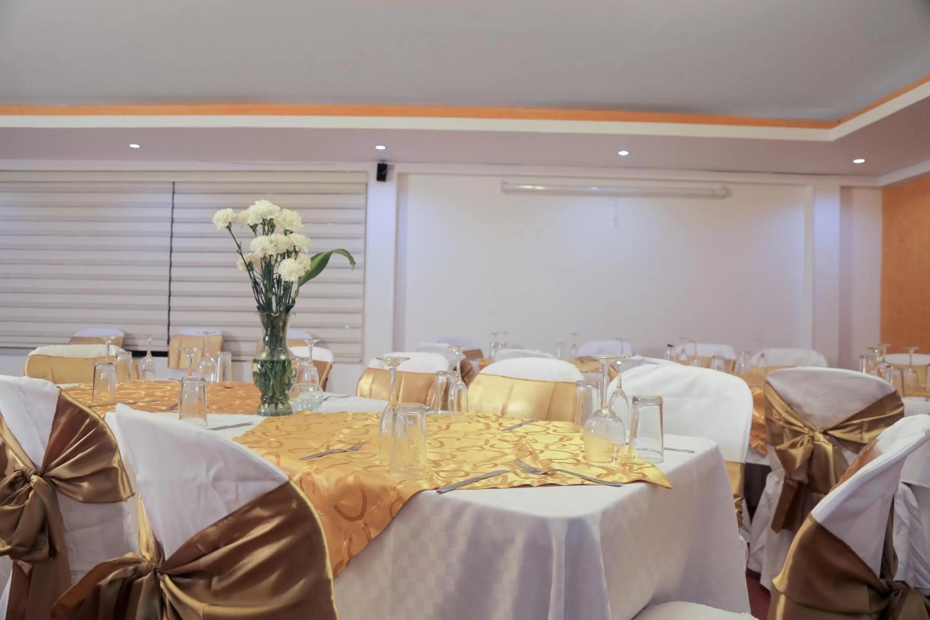 Meeting/conference room in Hotel Montserrat Plaza