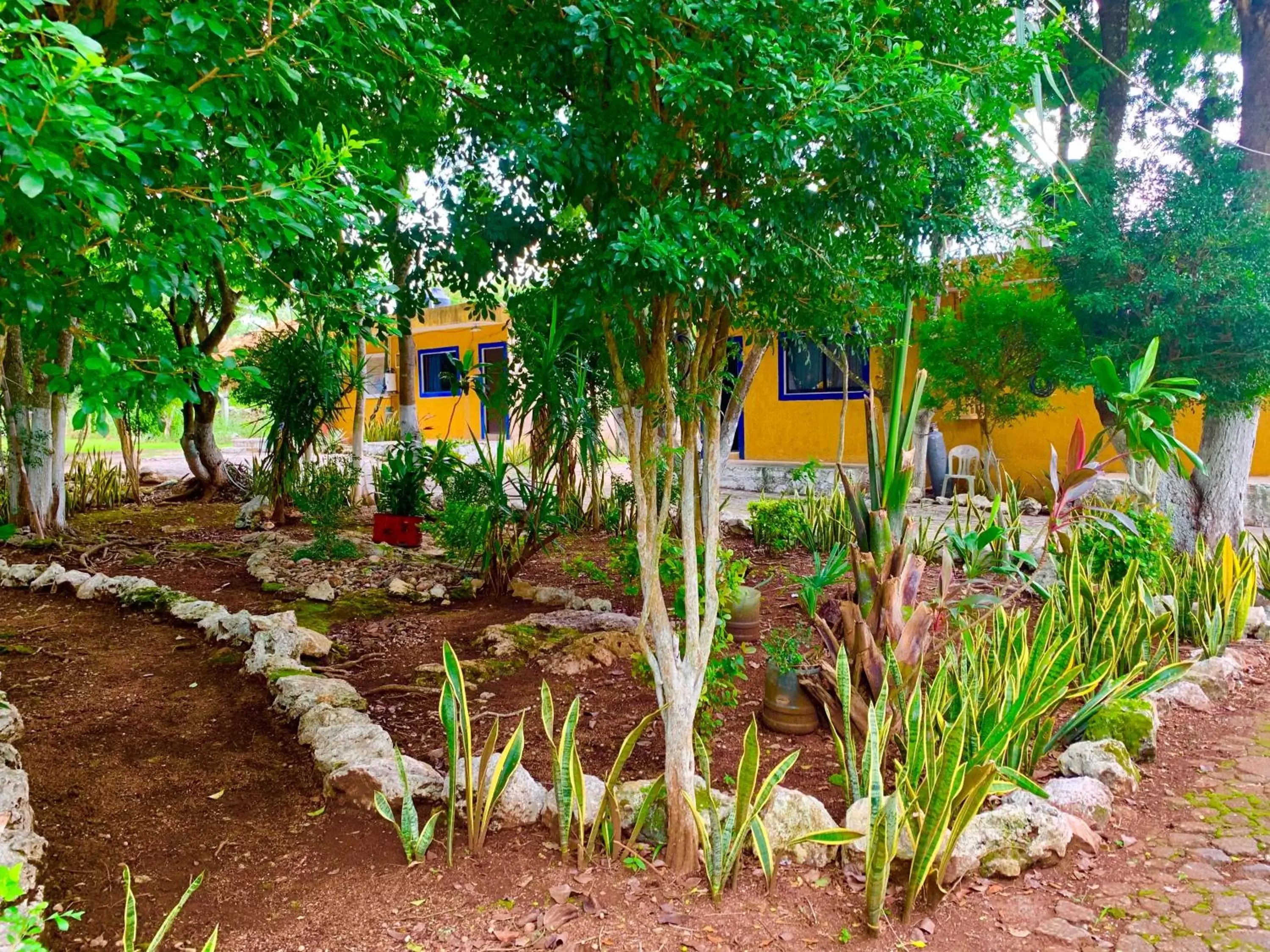 Garden in Hotel Green River