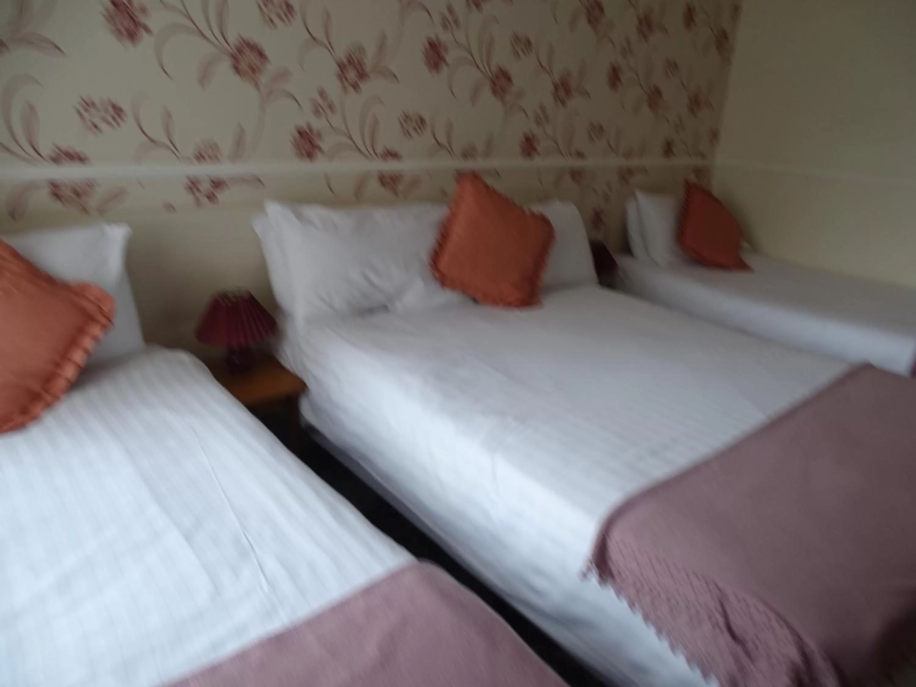 Bedroom, Room Photo in The Belvedere