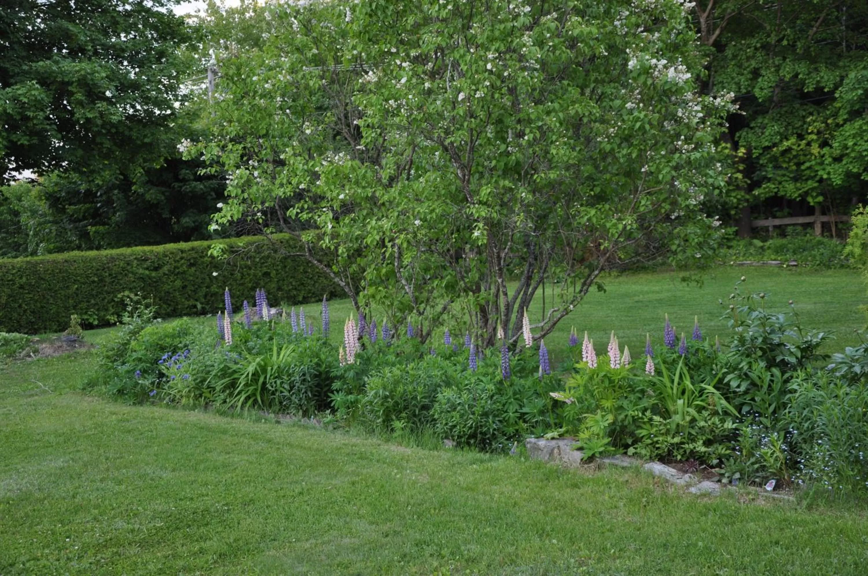 Garden in Auberge sur la Côte