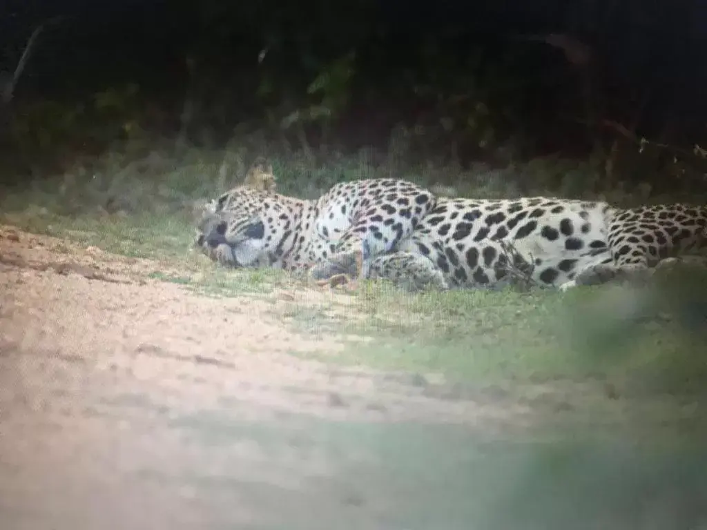 Jayasinghe Holiday Resort Jayasinghe Holiday Resort