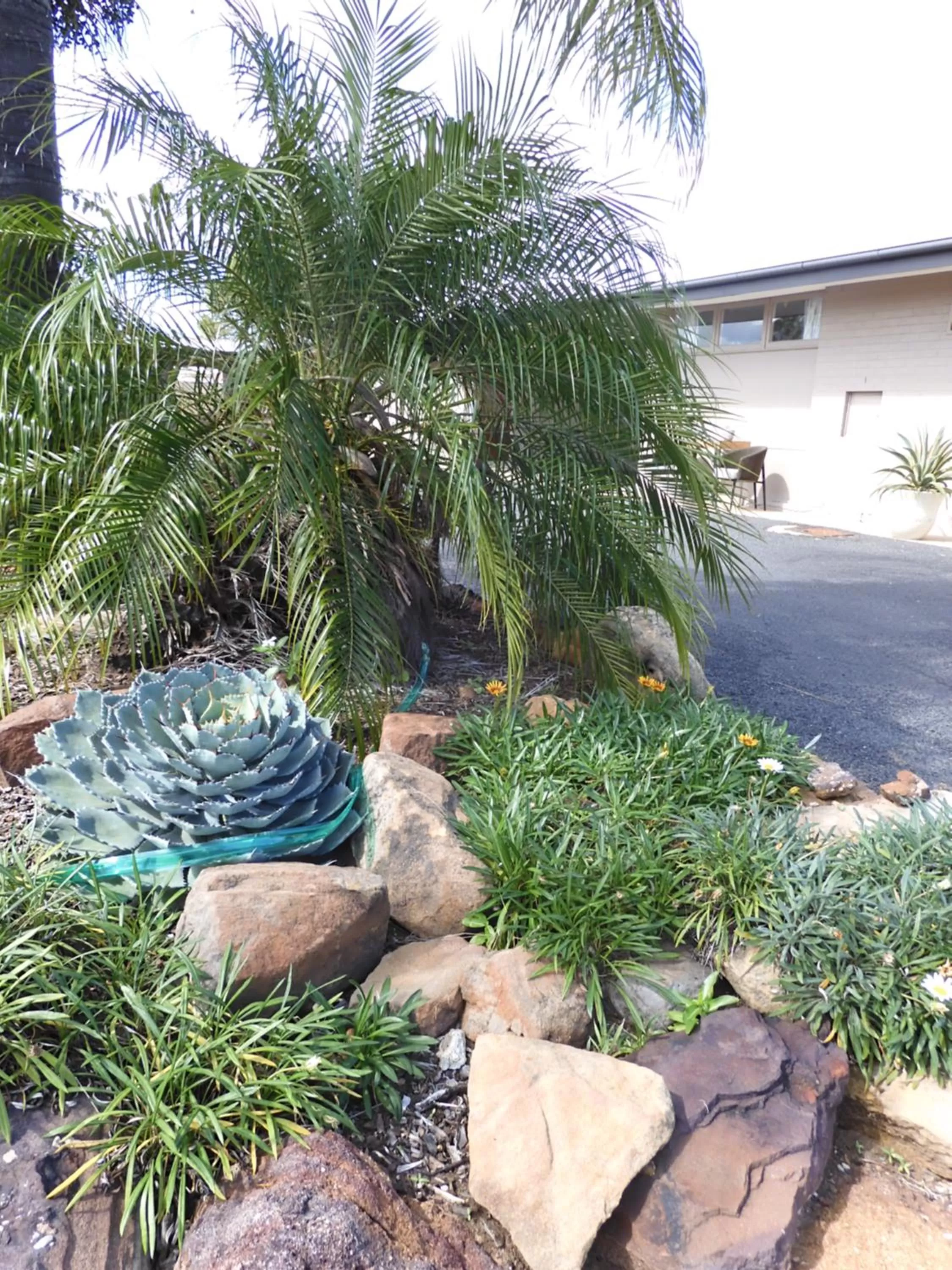 Dalby Parkview Motel