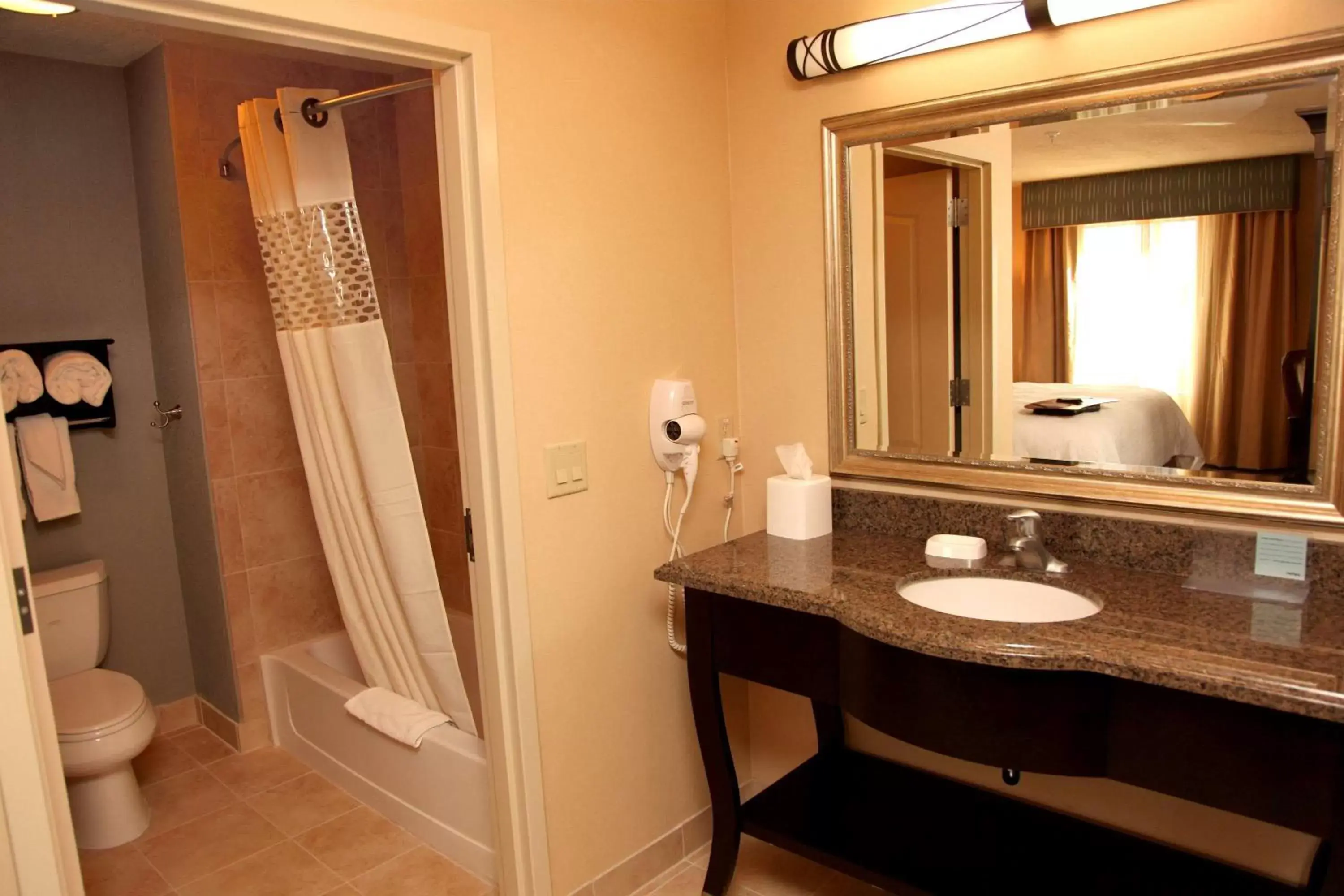 Bathroom in Hampton Inn & Suites Carlsbad