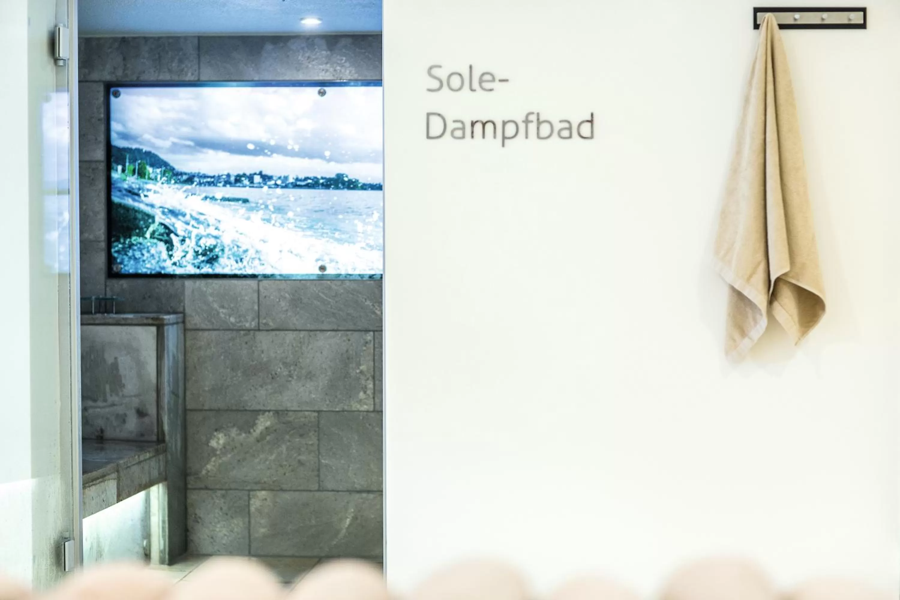 Steam room in Fritsch am Berg - Adults only